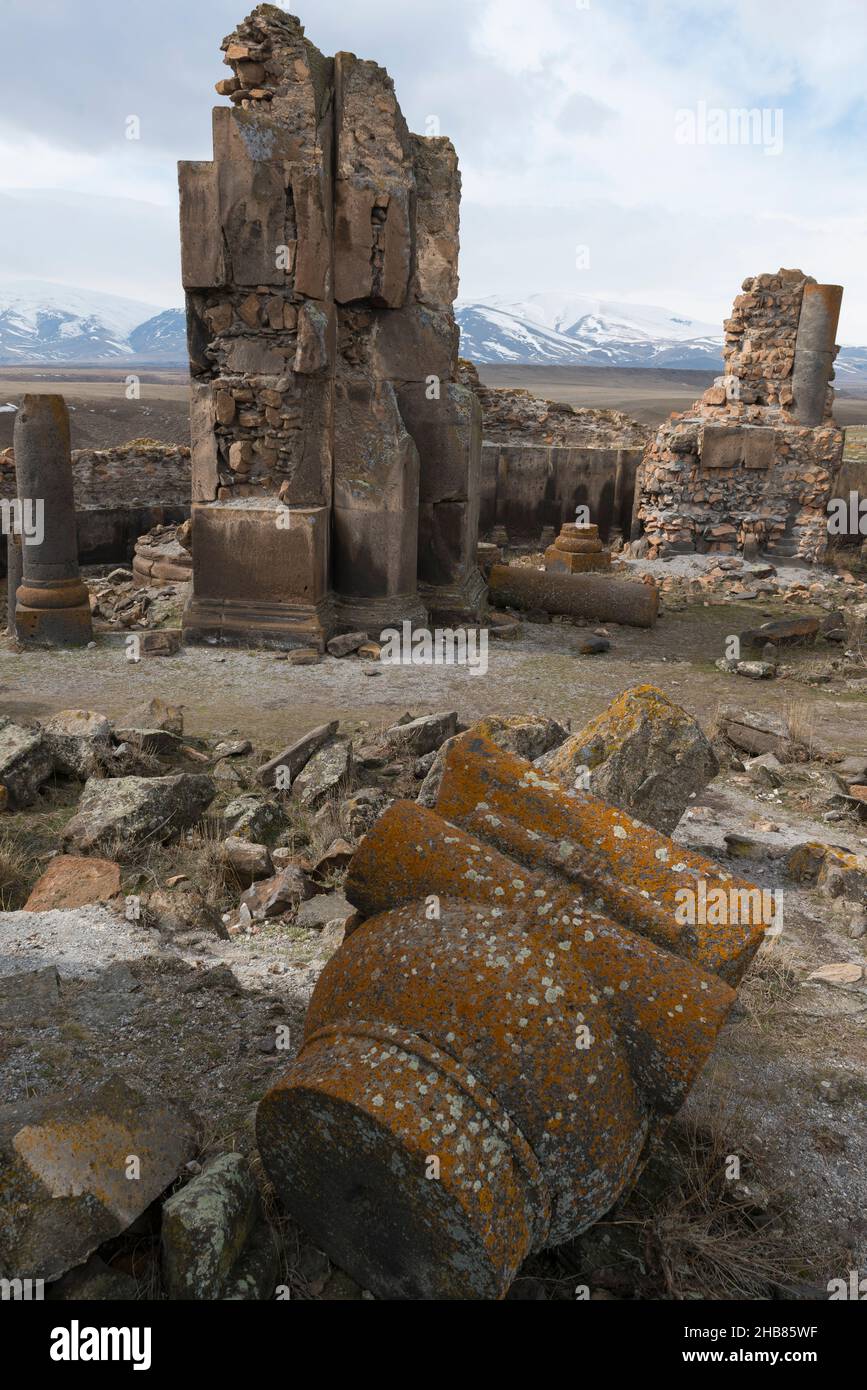 Un salto di colonne e capitelli caduti all'interno della chiesa del re Gagik (Gagikashen) nella città medievale armeno in rovina Ani nella provincia turca di Kars Foto Stock