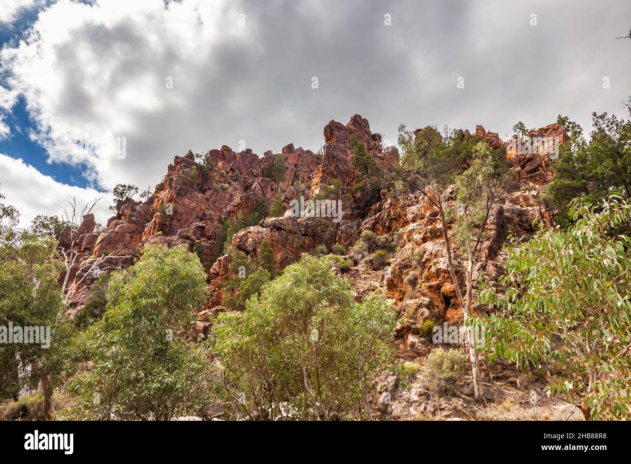 Formazioni rocciose nella Gola di Warren nelle catene montuose di Flinders nell'Australia Meridionale, strati di pietra verticali di colore rosso profondo Foto Stock