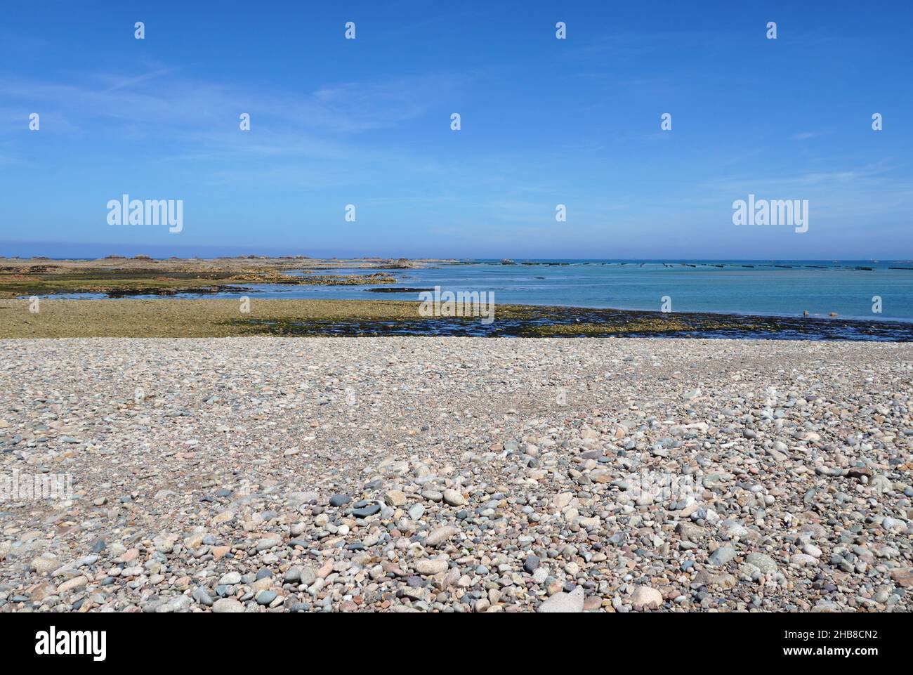 Pleubian (Bretagna, Francia nord-occidentale): All'estremità estrema del 'illon de Talbert' (3,2km) a marea crescente. Letti Oyster sullo sfondo Foto Stock