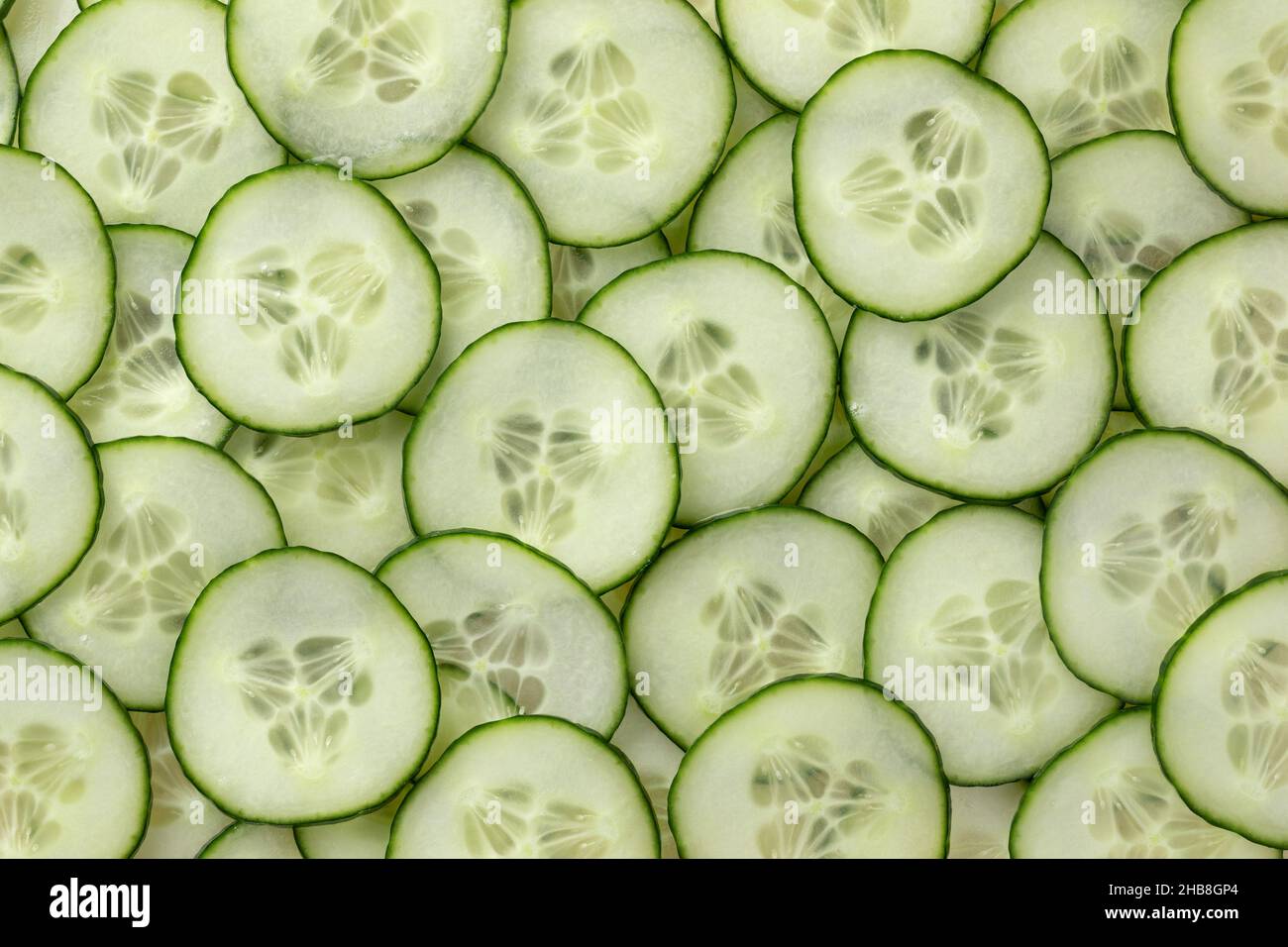 Le fette di cetriolo fresco verde si avvicinano all'intero fotogramma come sfondo Foto Stock