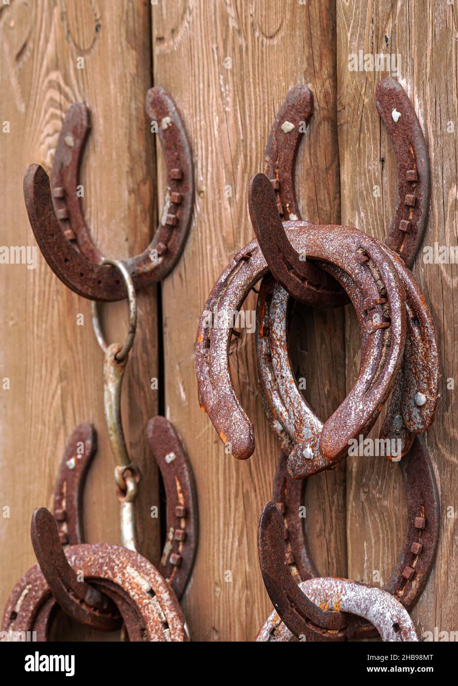 I vecchi ferro di cavallo arrugginiti apparsi sulle pareti delle scuderie - i visitatori possono prenderli come simbolo di fortuna Foto Stock