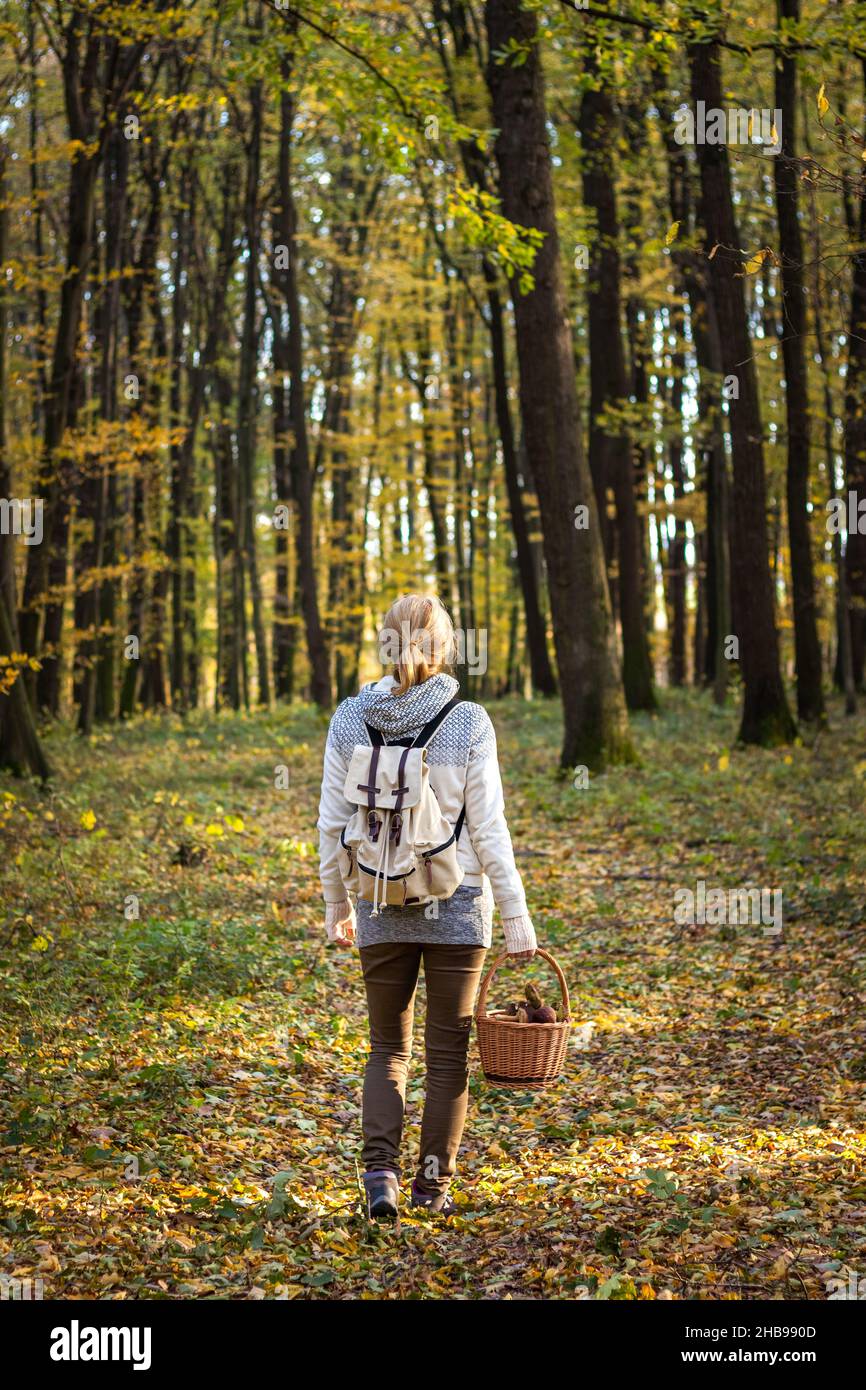 Donna con funghi in cesto di vimini che cammina nella foresta d'autunno. Escursioni turistiche nel bosco. Zaino donna in cerca di funghi in foglie cadute Foto Stock