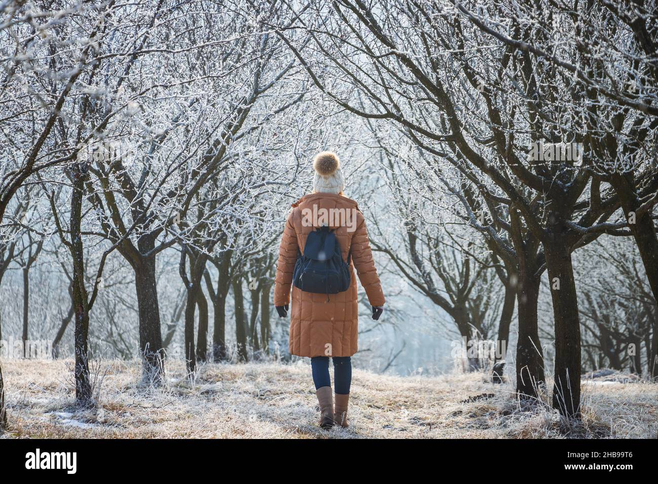 Donna che indossa abiti invernali e zaino. Donna turistica che cammina a piedi su un vicolo di alberi ghiacciati in tempo freddo. Escursioni nella natura Foto Stock