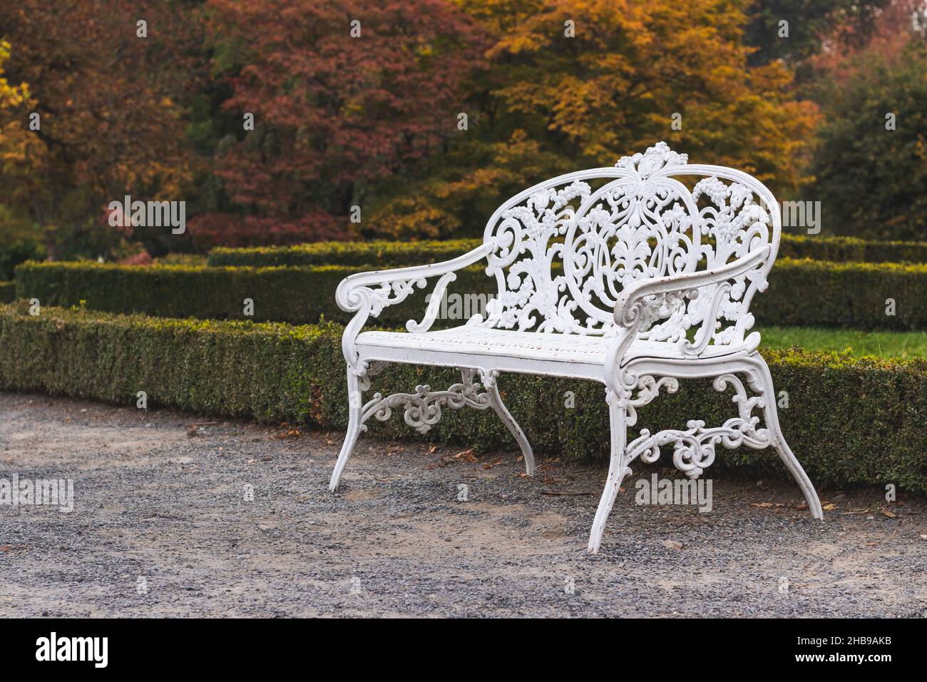 Panca bianca rustica nel parco autunnale. Sedia da esterno in metallo vuota in giardino ornamentale Foto Stock