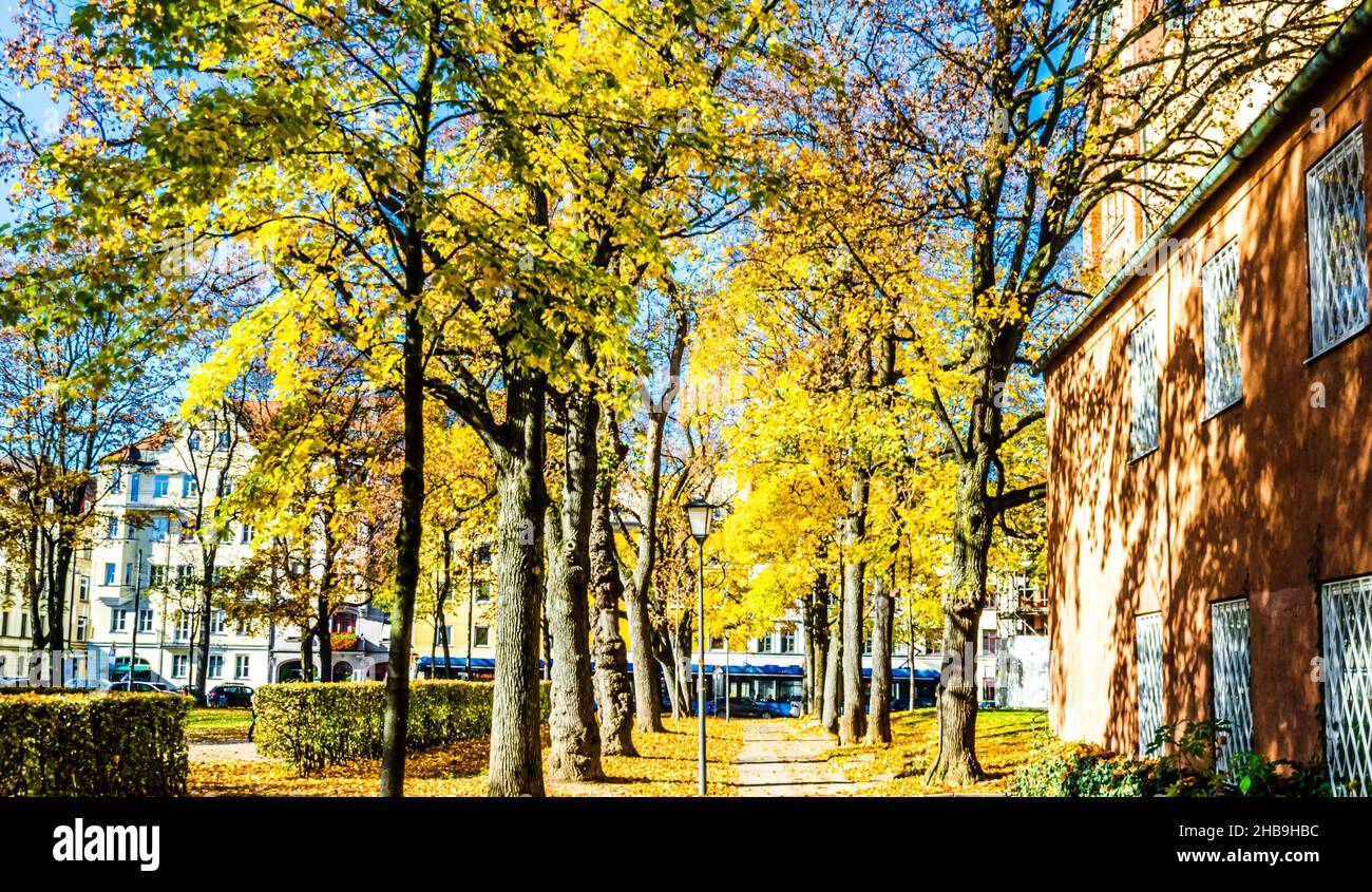 Paesaggio autunnale accanto a Johannes Square ion Haidhausen, monaco Foto Stock