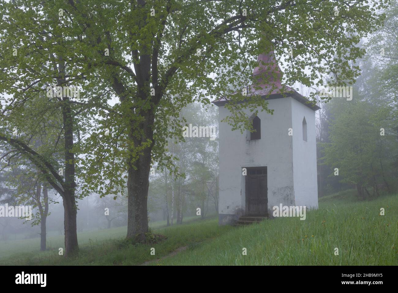 Storico campanile nel villaggio di Jasenovo, Slovacchia. Foto Stock