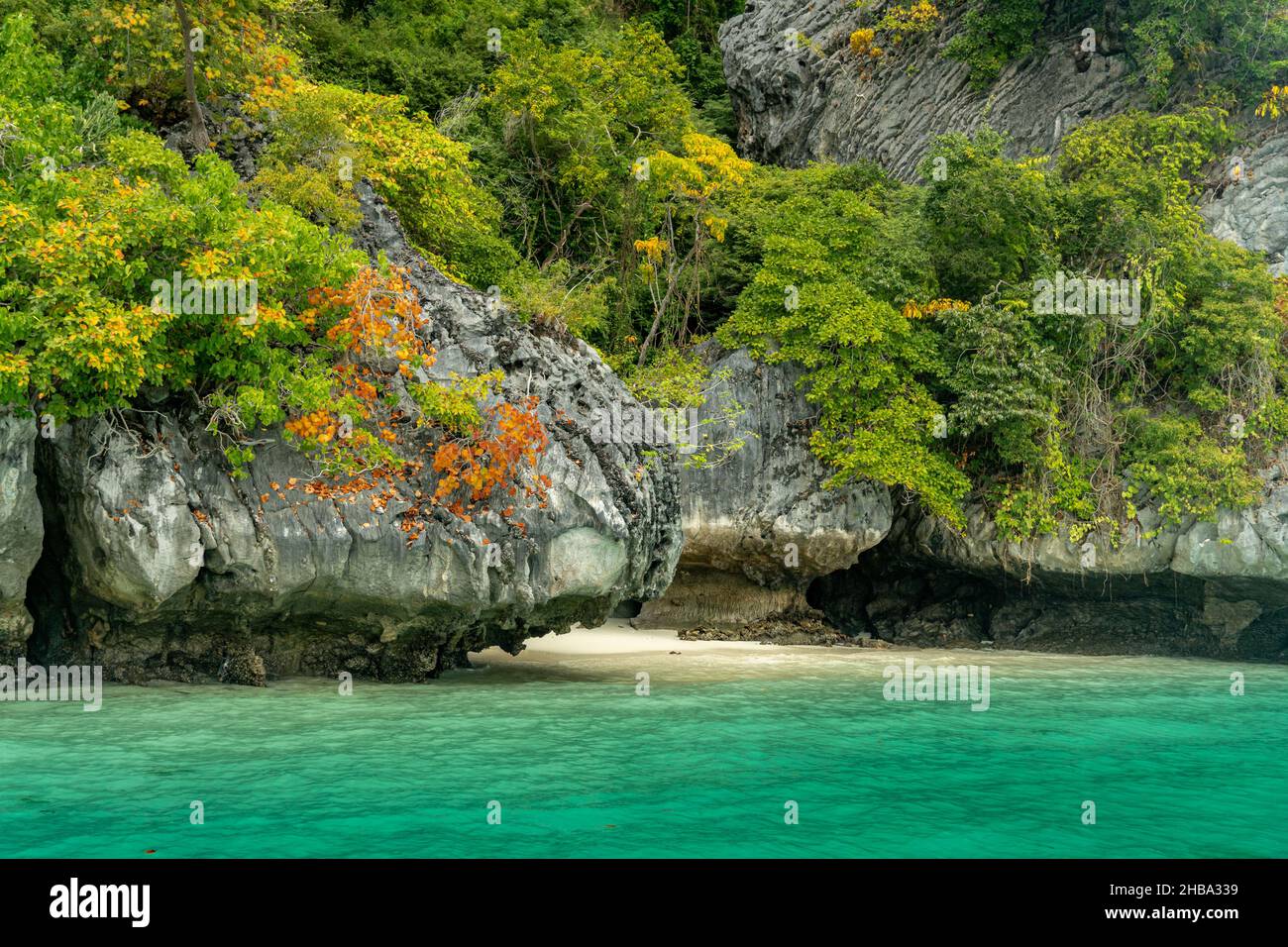 Le scogliere calcaree di Ko Phi Phi con foglie molto colorate Foto Stock