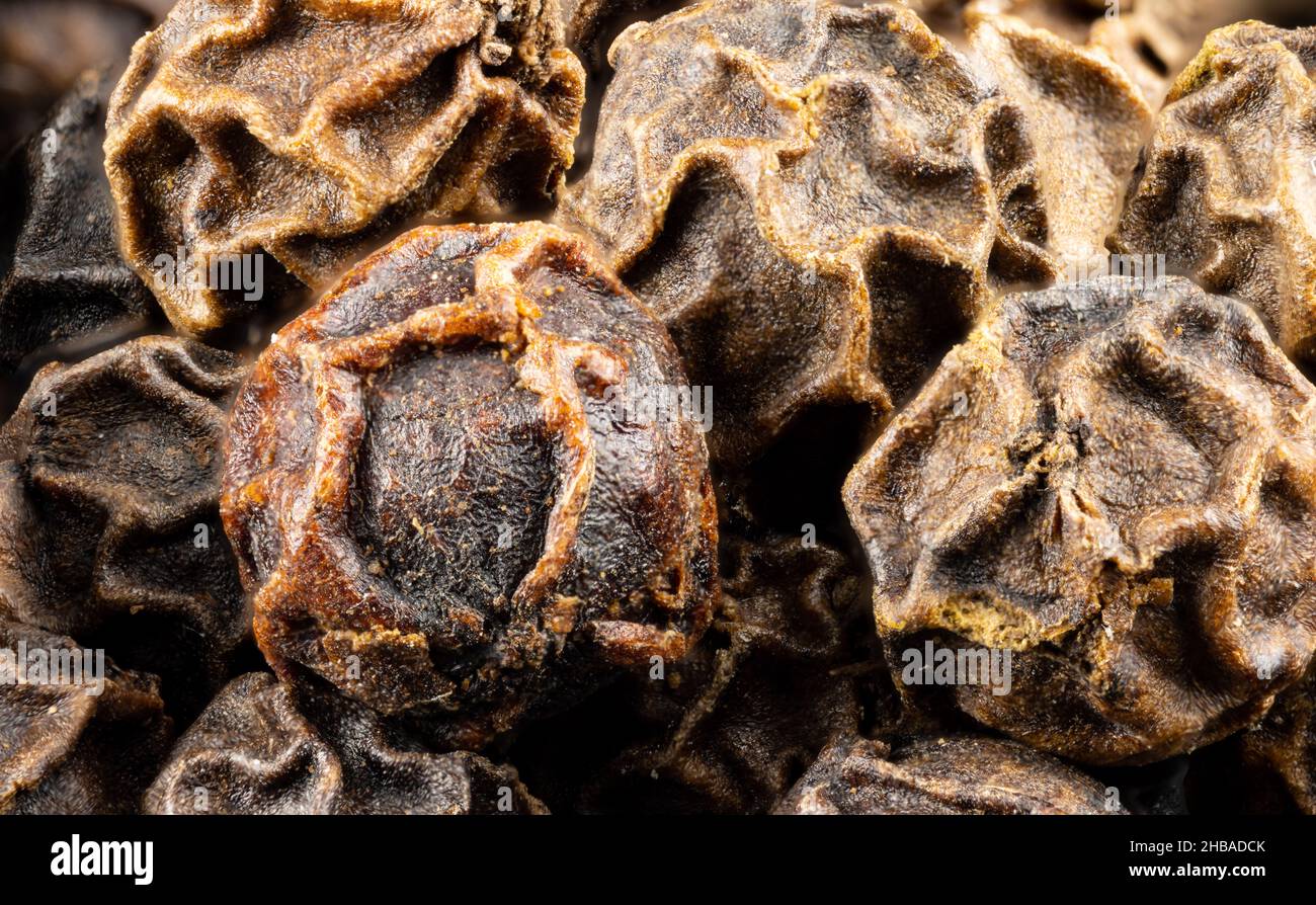 Vista ravvicinata di spezie e semi commestibili: Dettaglio di un granoturco al pepe nero - pepe nero (Piper nigrum) Foto Stock