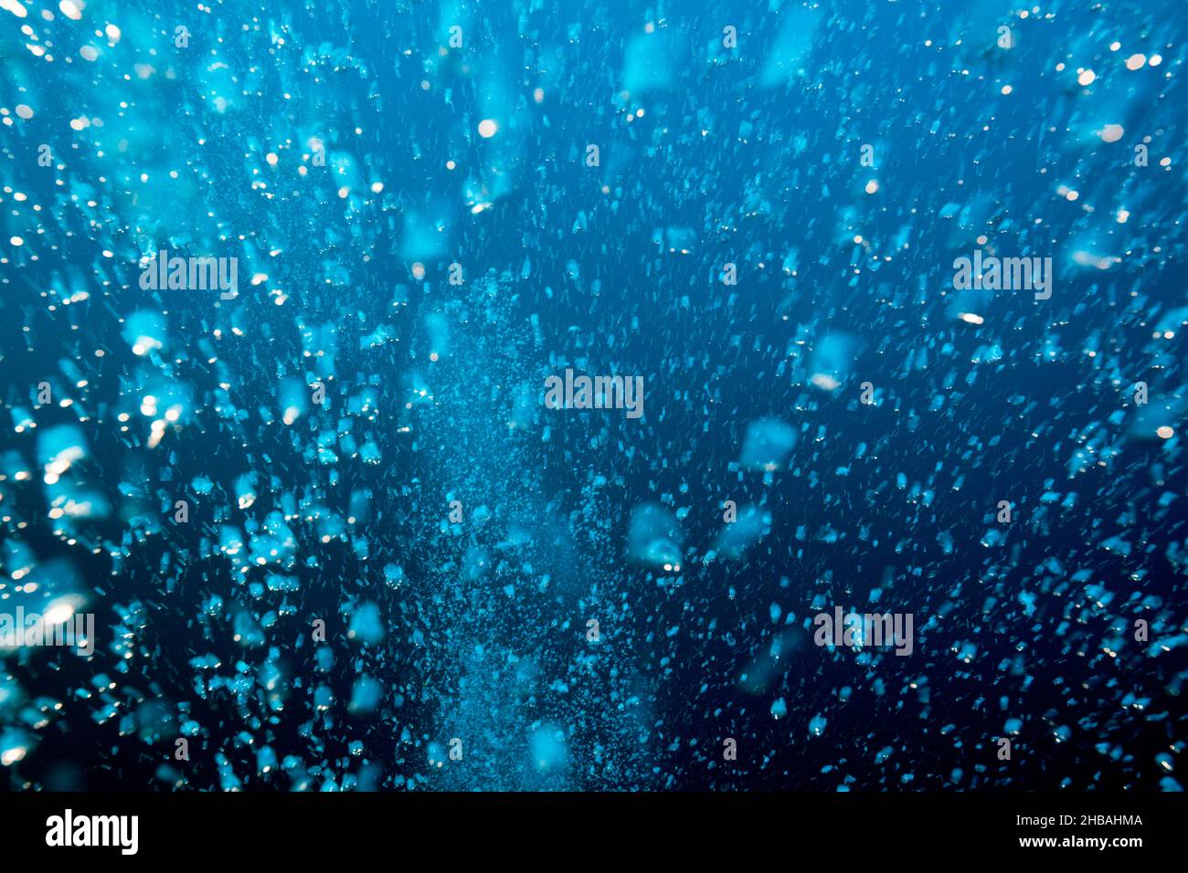 Bolle d'aria in aumento, Atollo di Felidhu, Oceano Indiano, Maldive Foto Stock