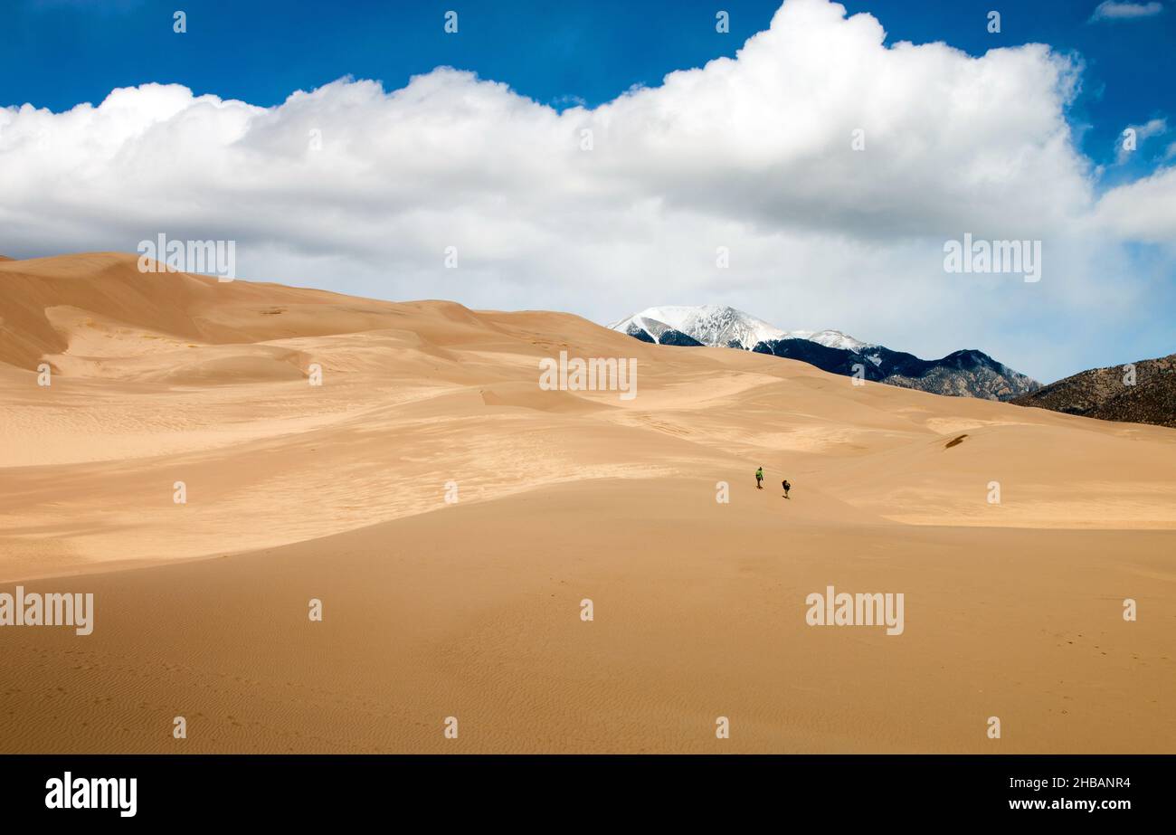 I visitatori camminano sulle dune. Il Great Sand Dunes National Park and Preserve è un parco nazionale degli Stati Uniti che conserva un'area di grandi dune di sabbia alte fino a 750ft (230m) sul bordo orientale della San Luis Valley, e una riserva nazionale adiacente nella catena montuosa di Sangre de Cristo, nel Colorado centro-meridionale, Stati Uniti. Una versione unica e ottimizzata di un'immagine NPS - Credit: NPS/Mackenzie Reed Foto Stock