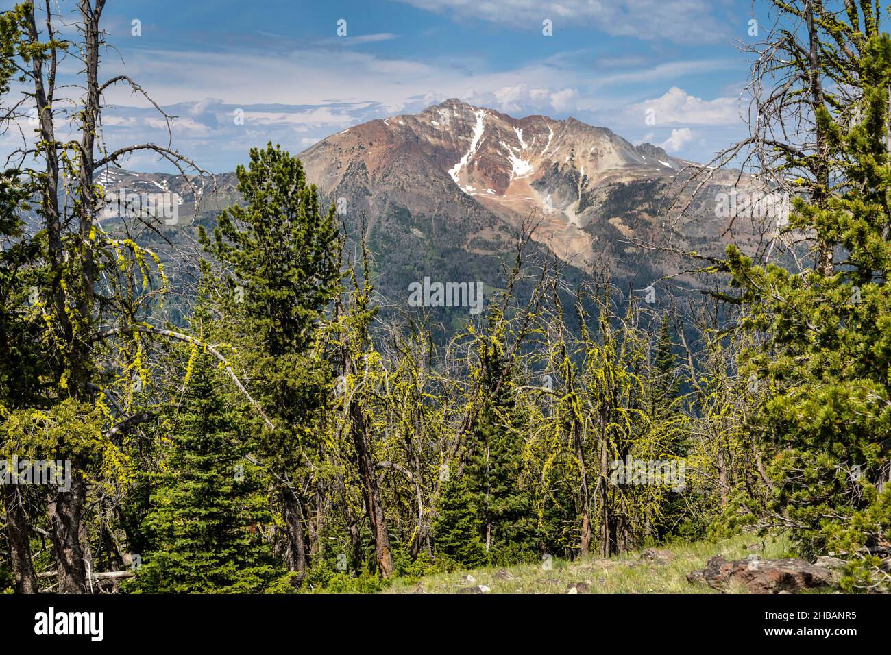 Vista di Electric Peak da Sepulcher Mountain, Yellowstone National Park, Stati Uniti d'America. Una versione unica e ottimizzata di un'immagine di NPS Ranger JW Frank; Credit: NPS/Jacob W. Frank Foto Stock