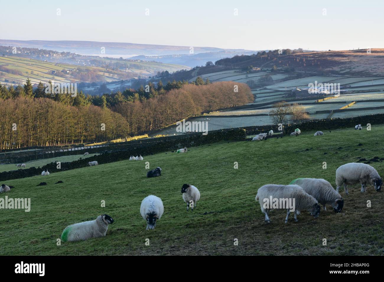 Haworth Moor, in inverno, Bronte Country, West Yorkshire Foto Stock
