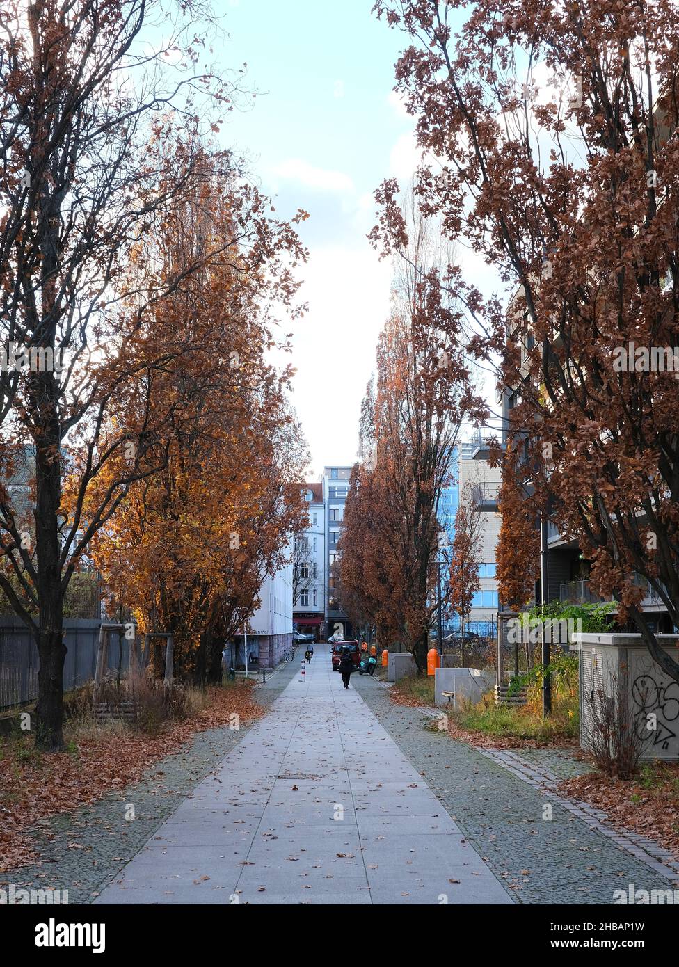 Berlino, Germania, 22 novembre 2021, scena autunnale alla E.T.A - Hoffmann-Promenade a Kreuzberg Foto Stock