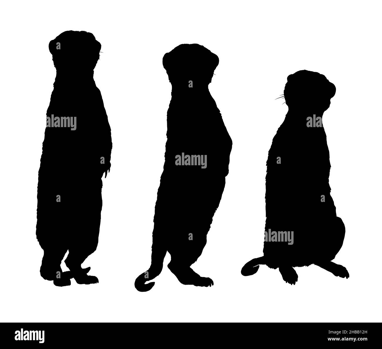 Illustrazione della famiglia Meerkat. Animali silhouette nera. Foto Stock