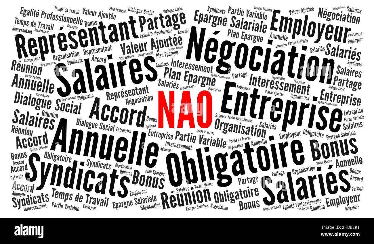 Nube di parola di negoziazione annuale obbligatoria chiamata negociation annuelle obligatoire in lingua francese Foto Stock