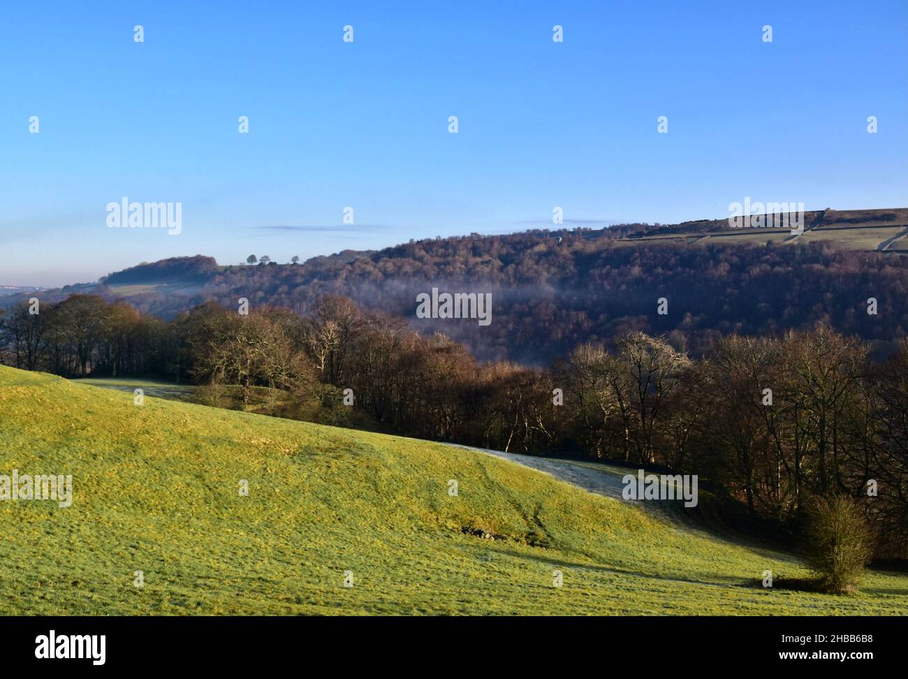 Highlee Woods Ripponden Foto Stock
