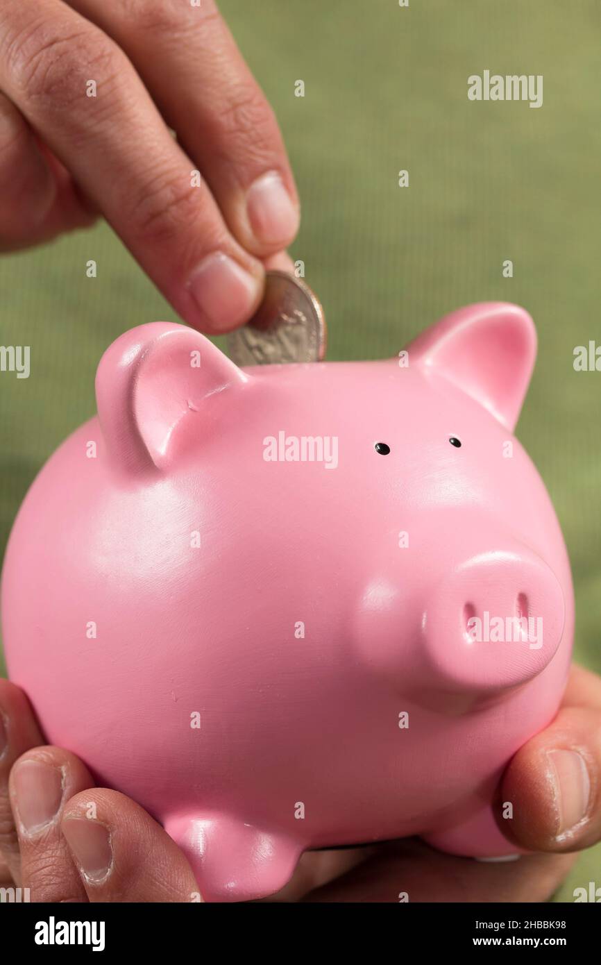 Piggy Bank Foto Stock