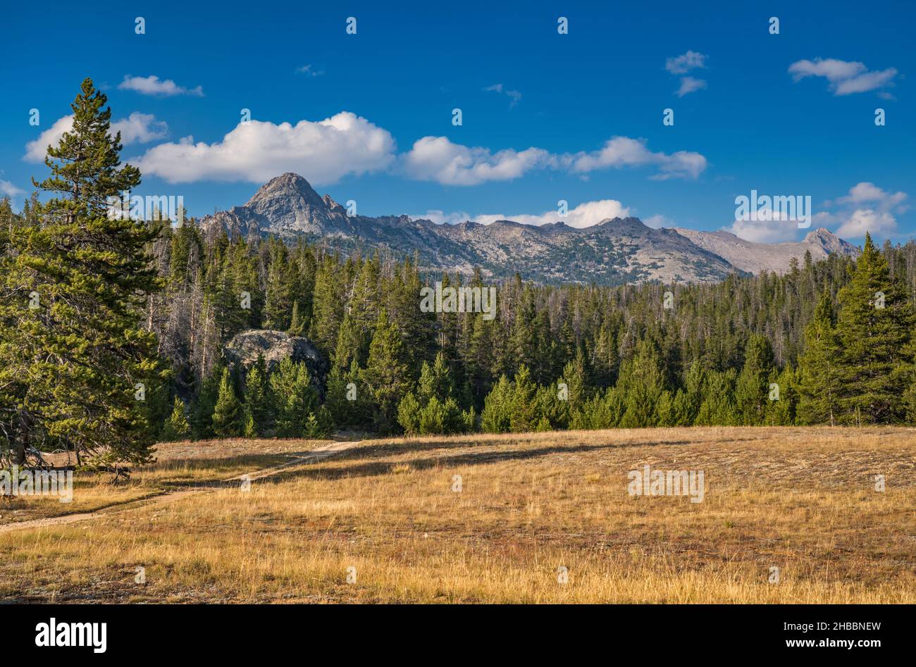 Big Sandy Lake Trail, Wind River Range, Bridger Teton National Forest, Wyoming, USA Foto Stock