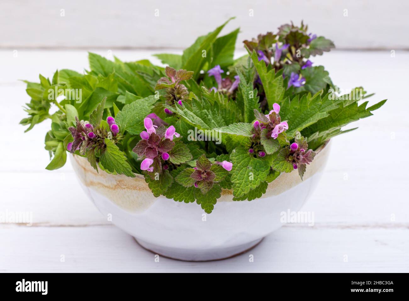 Ciotola di erbe fresche selvatiche Foto Stock