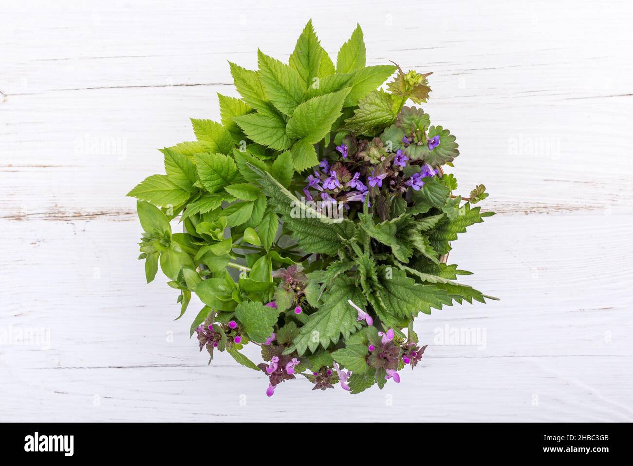Ciotola di erbe fresche selvatiche Foto Stock