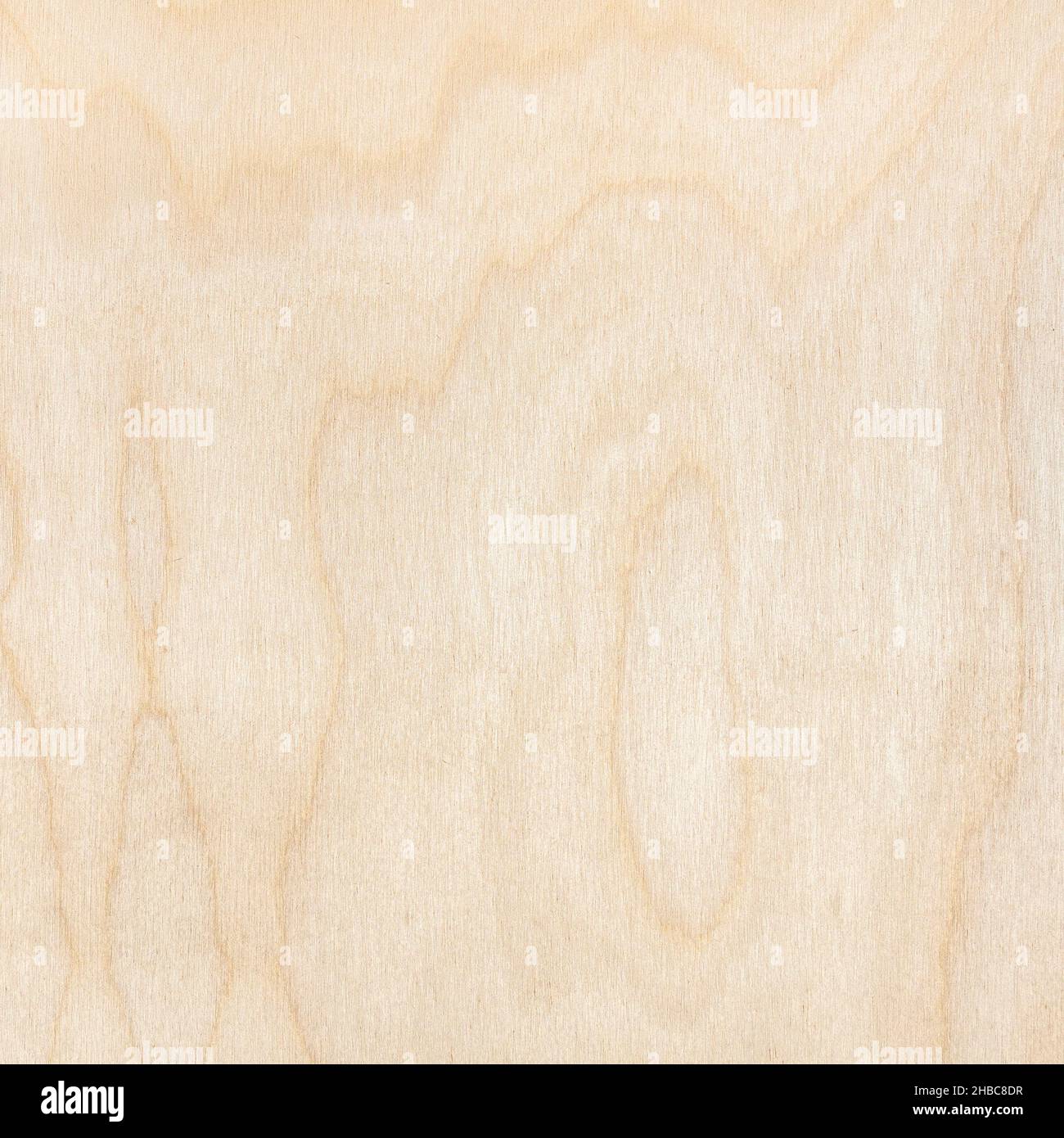 superficie in legno naturale di legno compensato quadrato di betulla Foto Stock