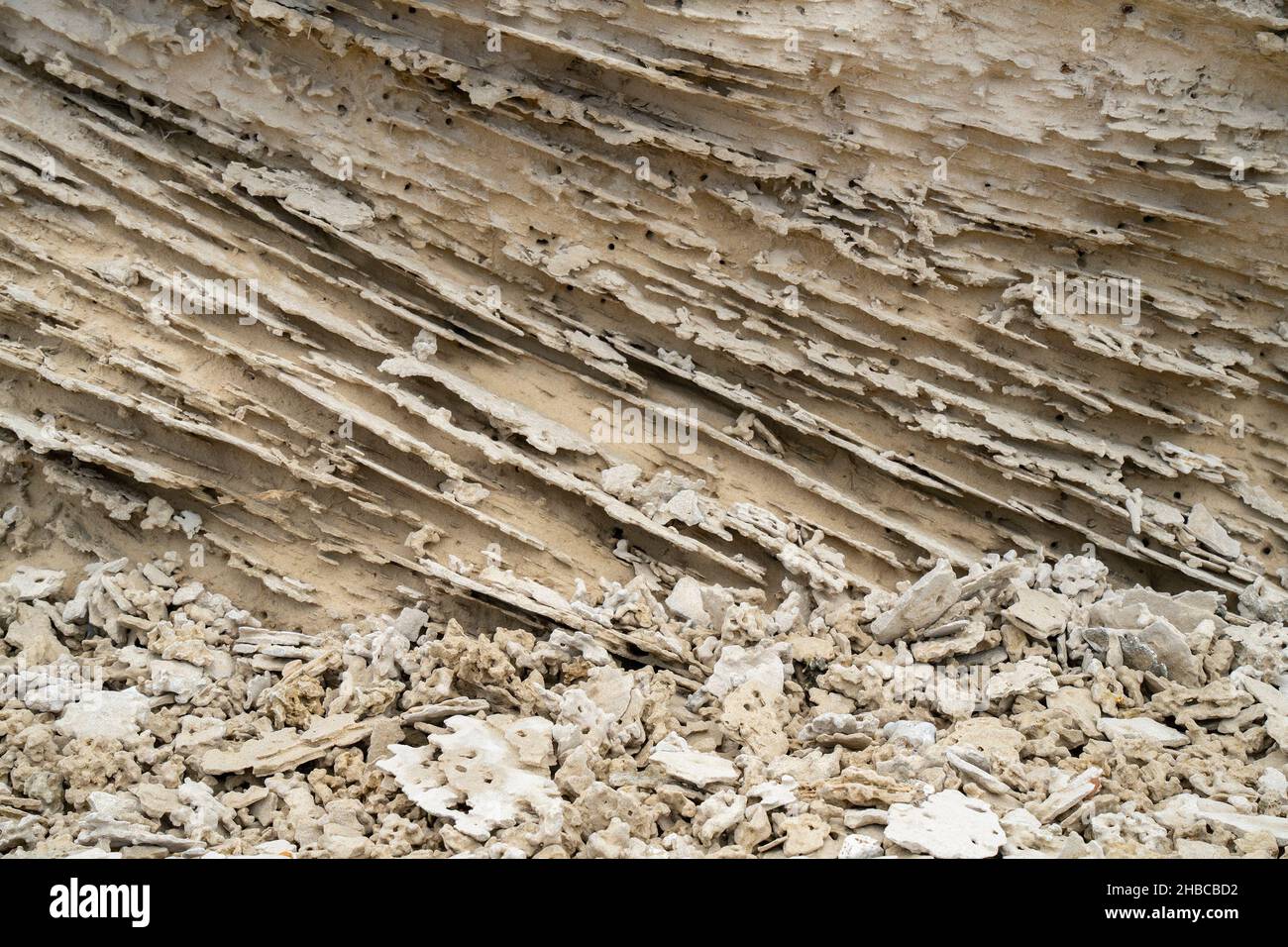 Grainstone, o kurkar rocce e pietre, tipico delle coste del mediterraneo. Foto Stock