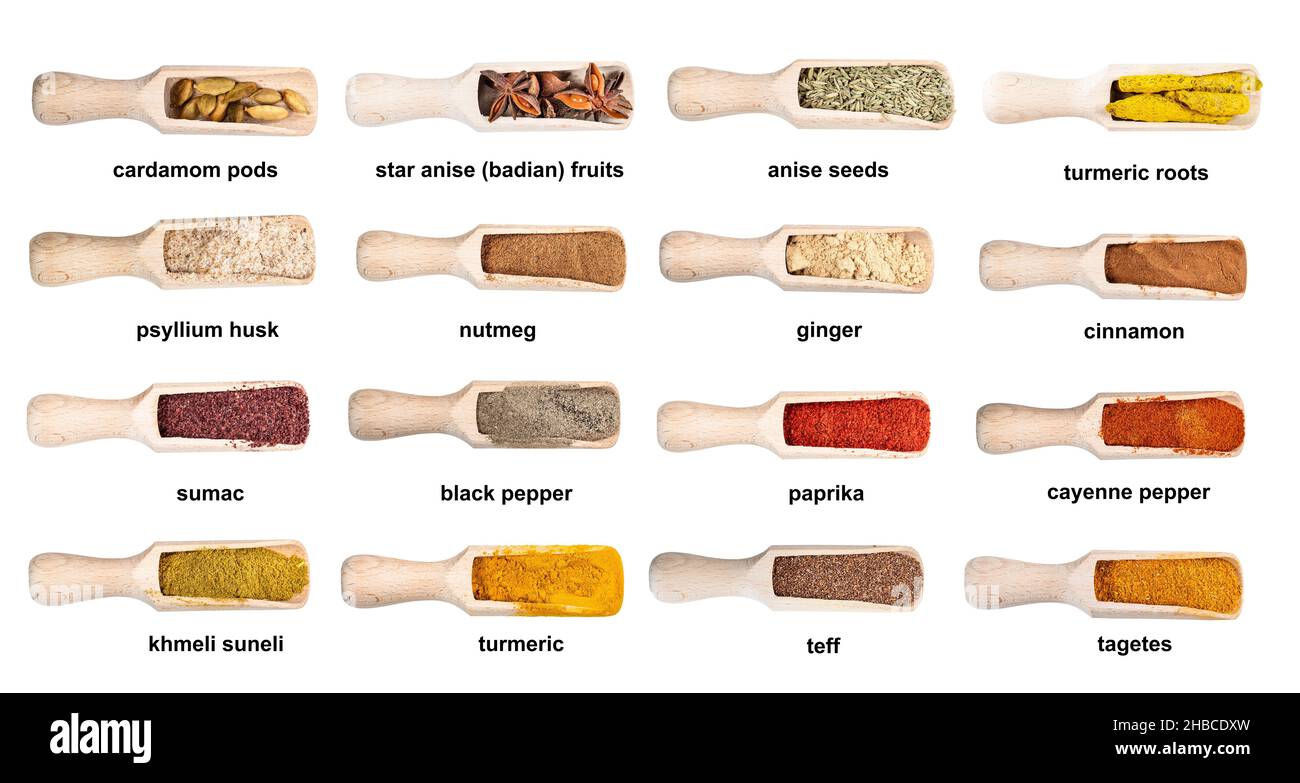 set di sessole in legno con spezie macinate con nomi ritagliati su sfondo bianco Foto Stock