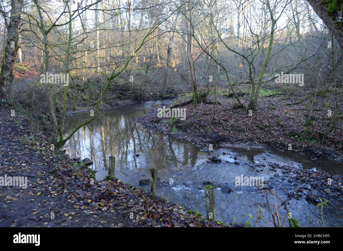 Sole che si infrangono dalla nebbia a Craigall Den, Ceres, Fife, dicembre 2021 Foto Stock