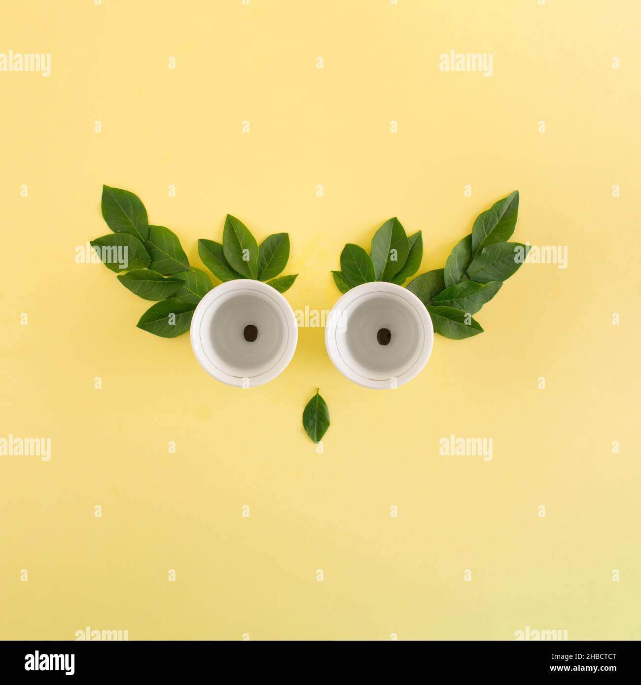 Concetto di gufo creativo composto da tazze bianche e chicchi di caffè con foglie verdi su sfondo giallo. Disposizione piatta. Vista dall'alto Foto Stock