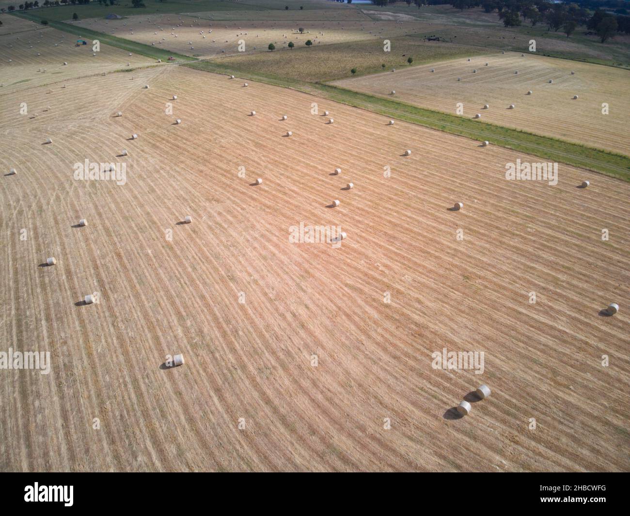 Agricoltura aerea e paesaggio rurale che mostra balle di fieno, modelli di raccolto, Victoria centrale, Australia. Foto Stock