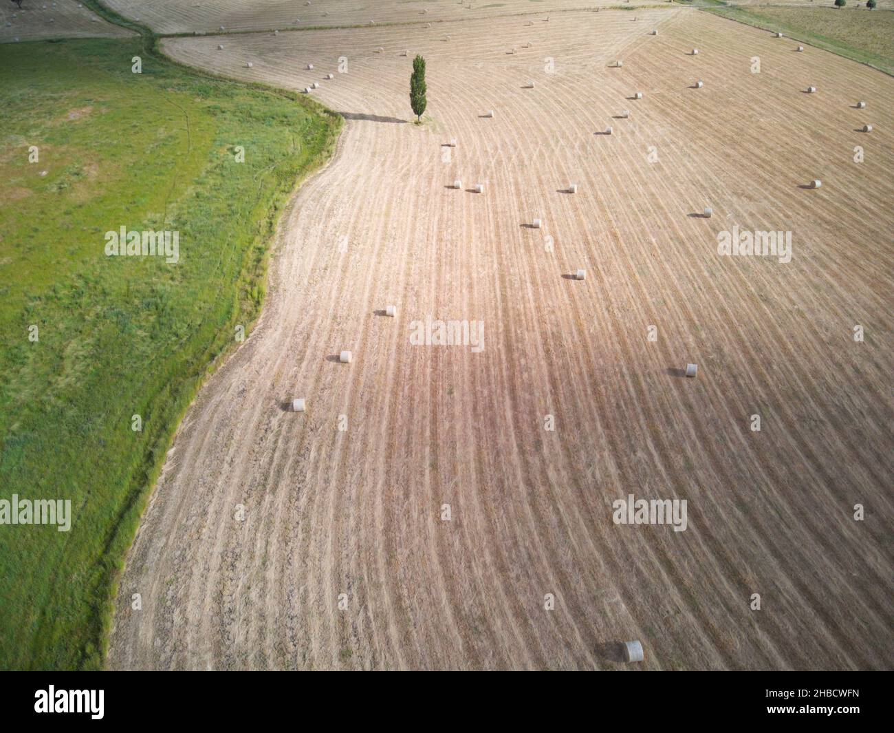 Agricoltura aerea e paesaggio rurale che mostra balle di fieno, modelli di raccolto e l'albero solato, con paddock verde, Victoria centrale, Australia. Foto Stock