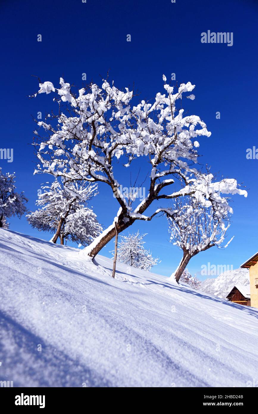 Francia, Savoia (73) Saint Bon Foto Stock