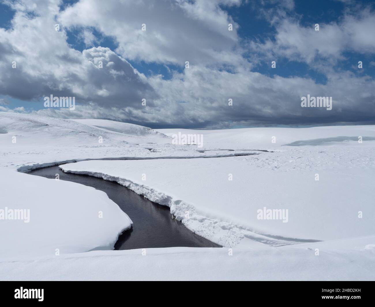 Un ruscello che attraversa le argine di neve nel parco nazionale di Yellowstone in inverno con nuvole bianche e soffici. Foto Stock