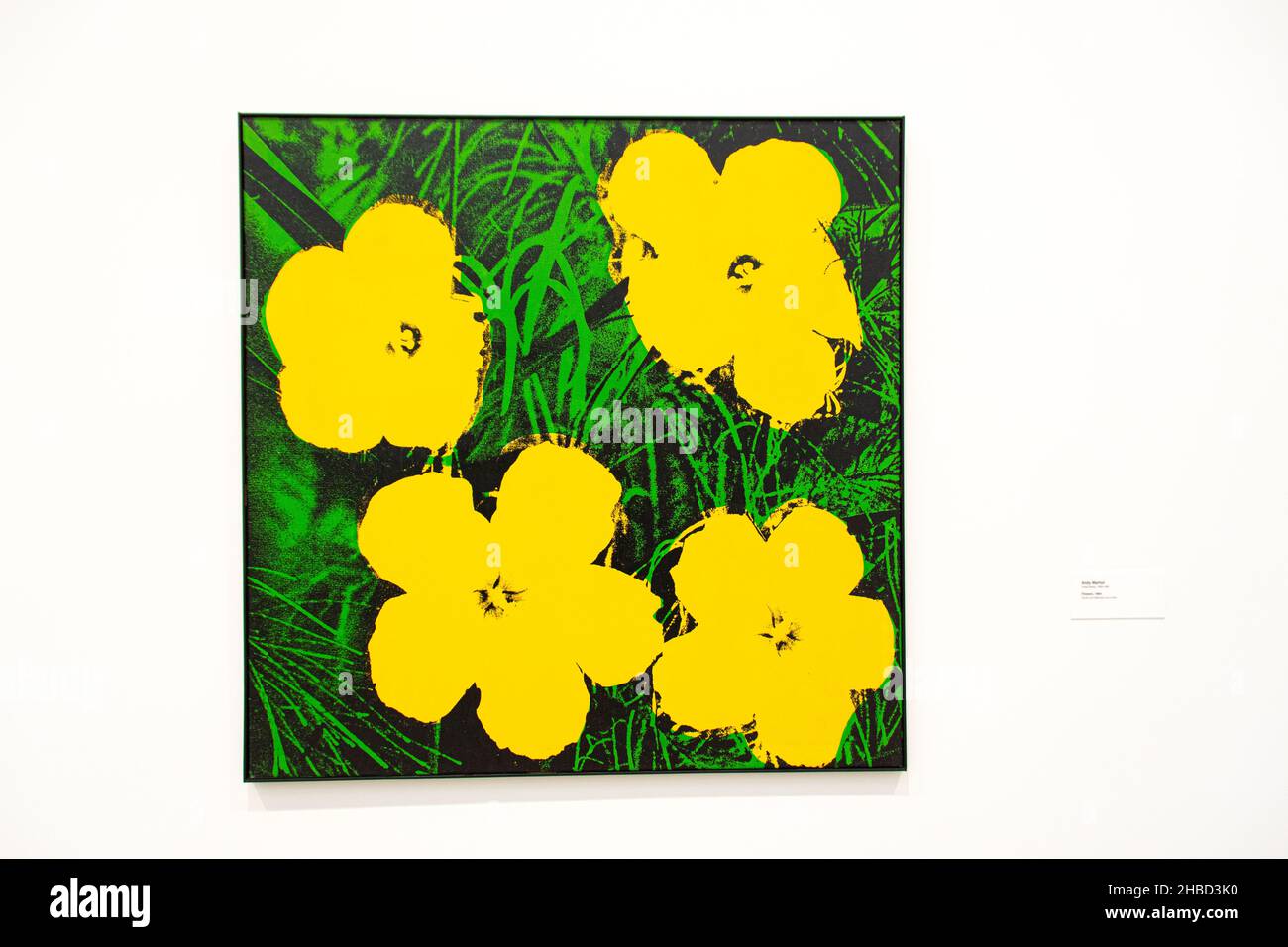 Un dipinto di fiori eseguito da Andy Warhol appeso al Broad Museum, Los  Angeles, CA USA Foto stock - Alamy