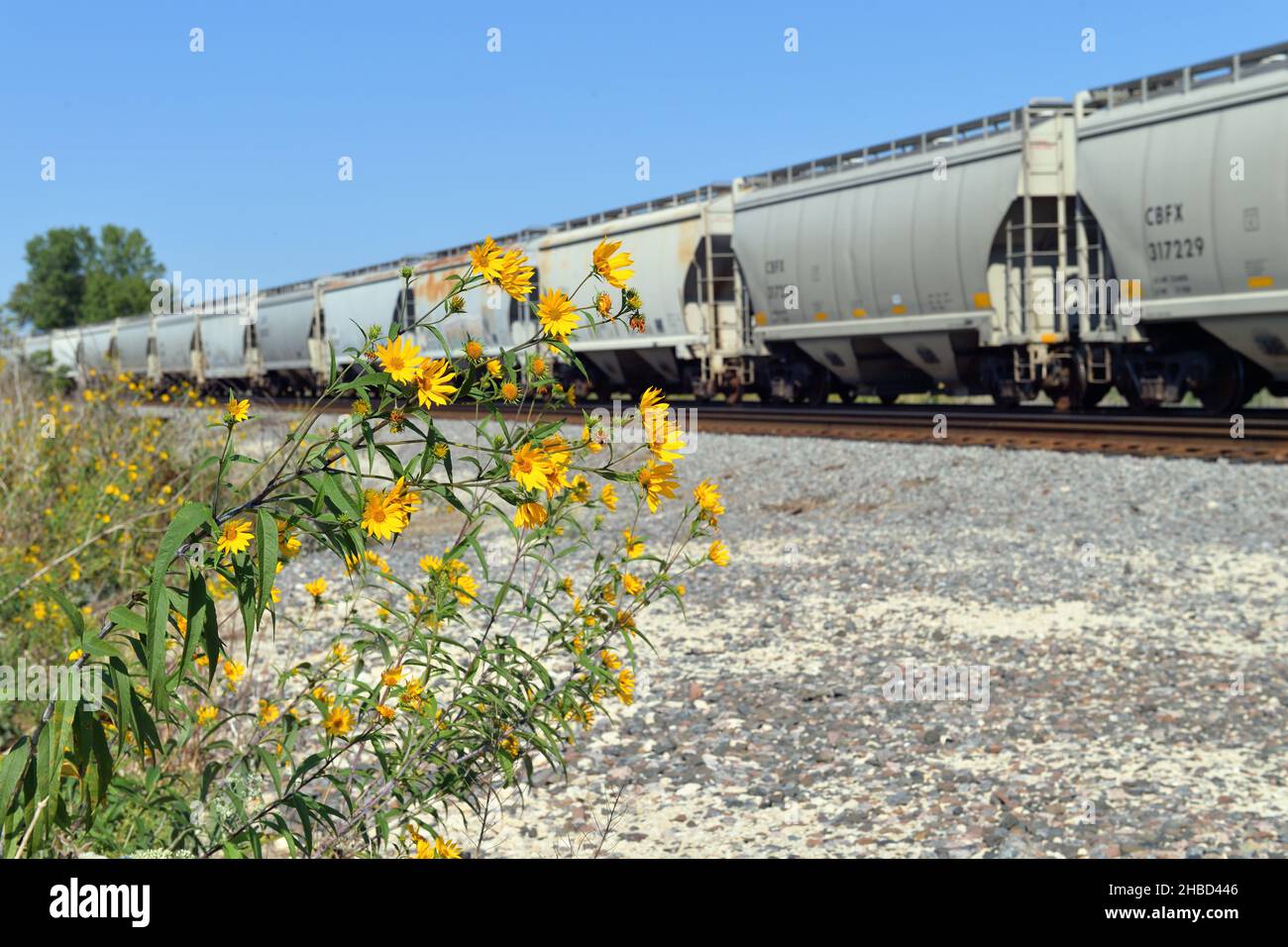 Hoffman Estates, Illinois, Stati Uniti. La protezione dell'ambiente è una responsabilità costante delle ferrovie. Foto Stock