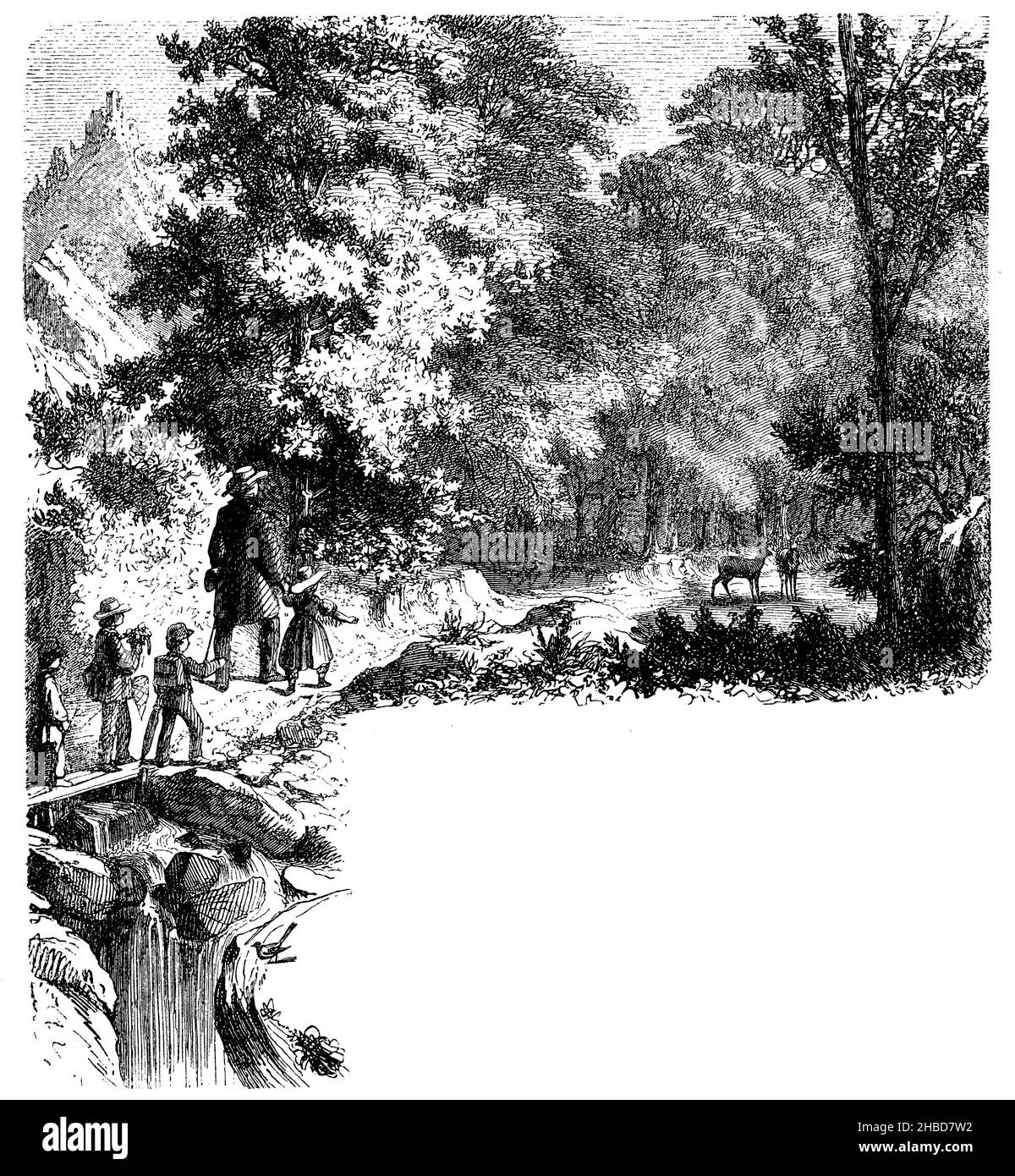 Capitolo vignette: Bordo decorativo: Passeggiata nel bosco, , anonym (libro zoologico, 1873), Kapitelvignette: Schmuckrand: Spaziergang in den Wald, Vignette du chapitre : bordure décorative : Promenade dans la Forêt Foto Stock