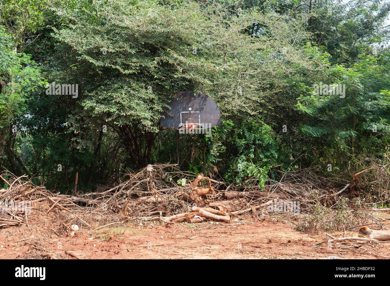 Auroville, India - 15th dicembre 2021: I danni causati da un rapido intervento di 3 escavatori JCB nella foresta di Auroville. Foto Stock