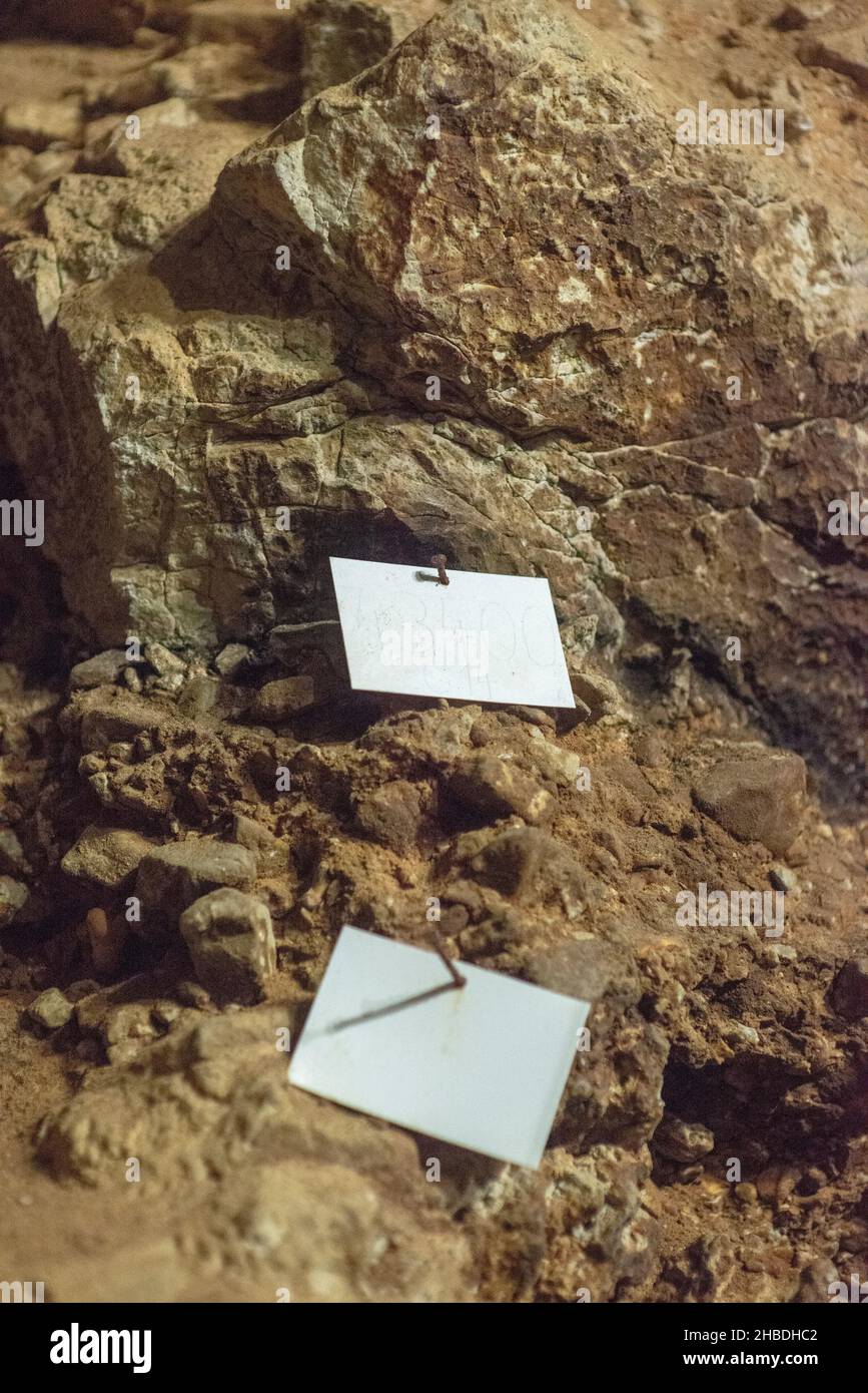 Divje Babe è un sito archeologico dove hanno trovato il più antico strumento musicale conosciuto al mondo. Foto Stock