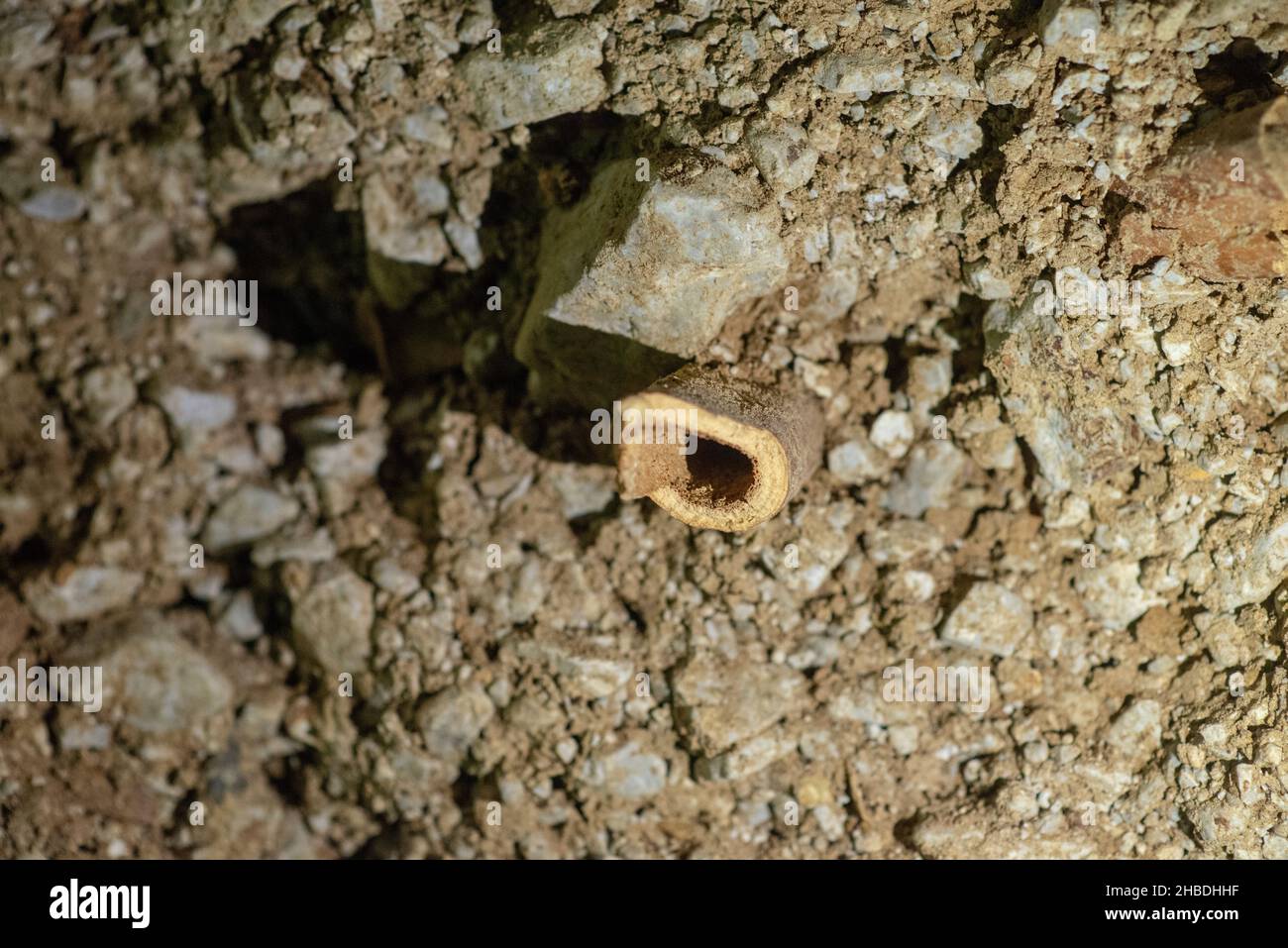 Divje Babe è un sito archeologico dove hanno trovato il più antico strumento musicale conosciuto al mondo. Foto Stock
