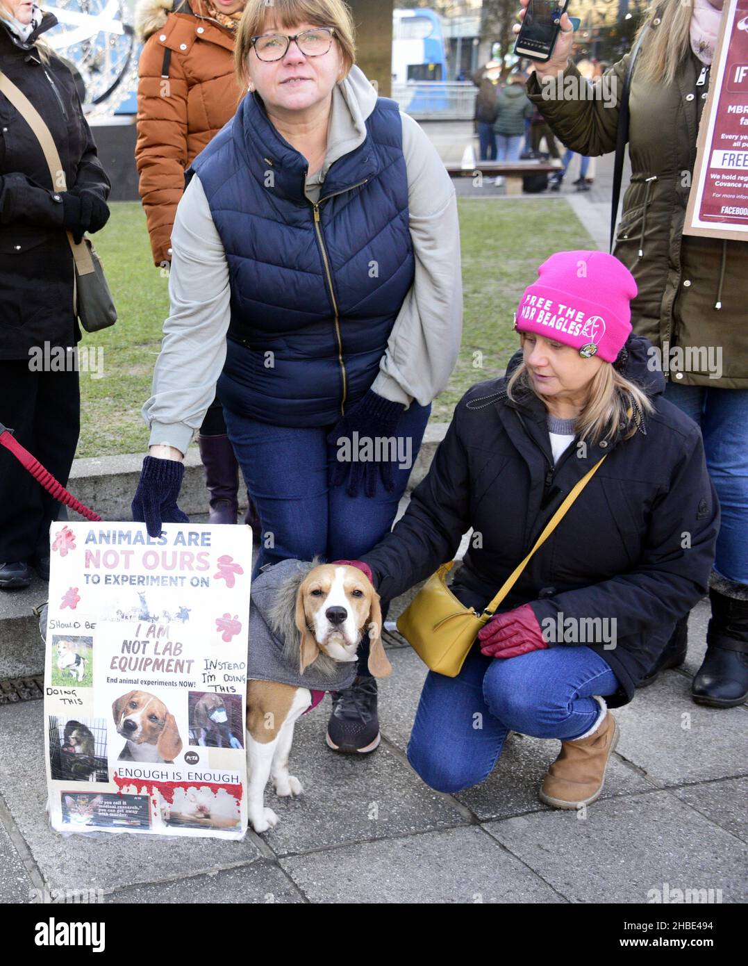 Manchester, Regno Unito, 19th dicembre 2021. Un piccolo gruppo di manifestanti a Piccadilly Gardens, nel centro di Manchester, Inghilterra, Regno Unito, chiede la liberazione di fagi MBR che i manifestanti sostengono essere allevati per sperimentazione da una società a Huntingdon, Regno Unito. I manifestanti tenevano i cartelli mentre gli acquirenti passavano davanti alle bancarelle del mercato di Natale. Credit: Terry Waller/Alamy Live News Foto Stock