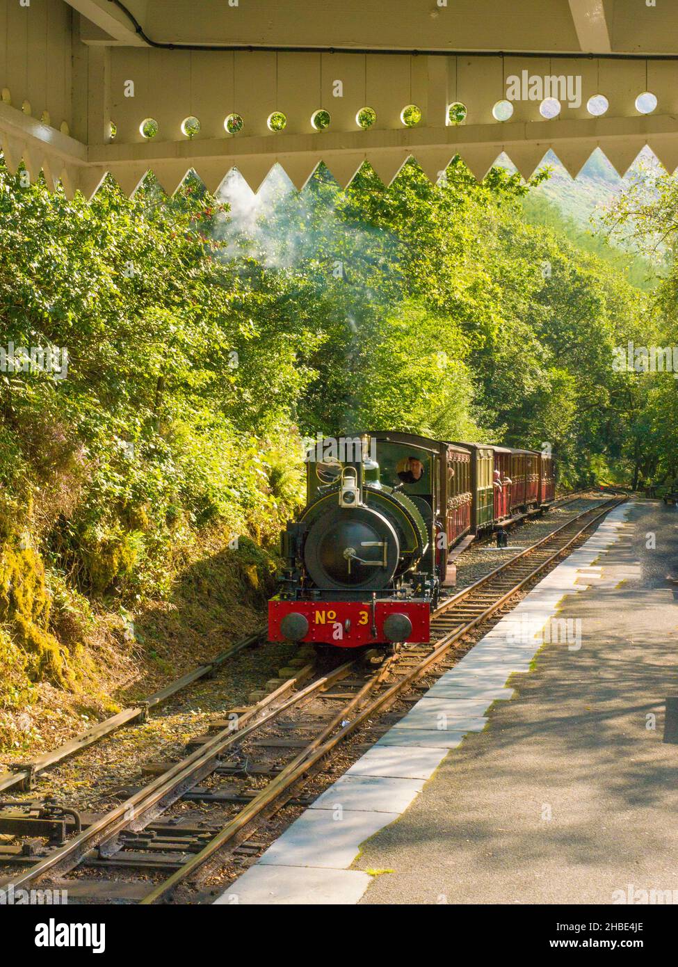 Un treno arriva alla stazione di Abergynolwyn sulla ferrovia di Talyllyn, Gwynedd, Galles La ferrovia di Talyllyn è una ferrovia a scartamento ridotto conservata Foto Stock