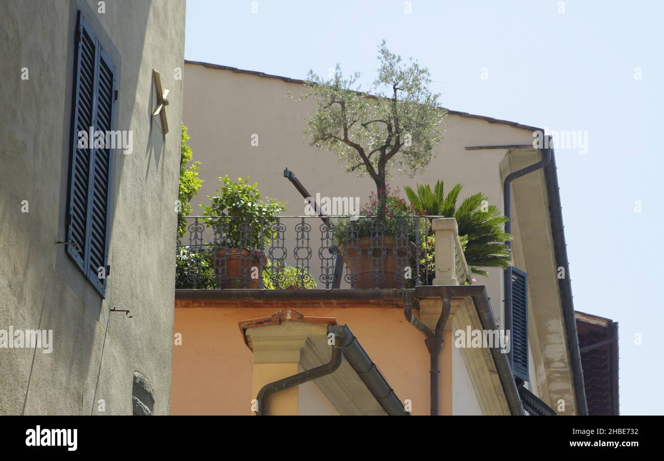 La città di Pistoia in Toscana. Balcone giardino. Foto Stock