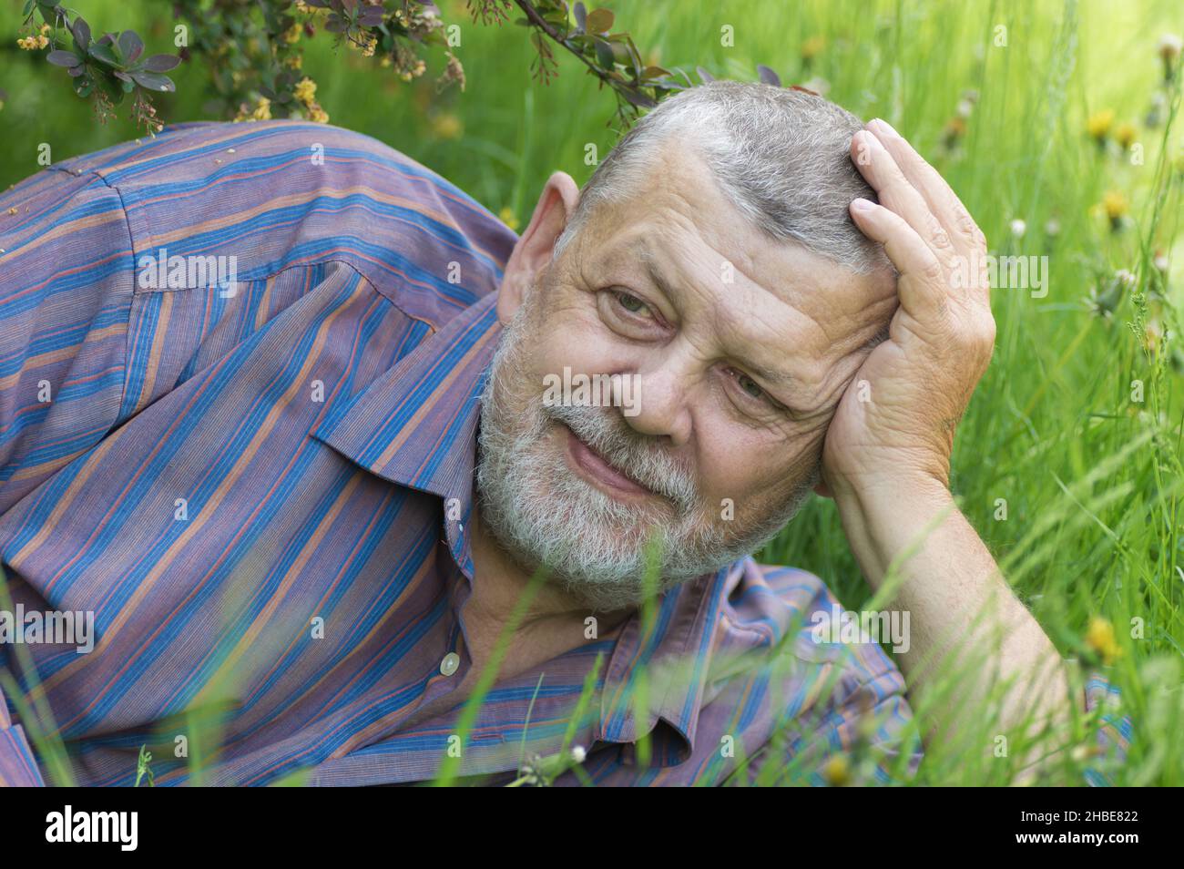 Ritratto di caucasico barbuto anziano giacente in primavera erba fresca sotto arbusto di bacche Foto Stock