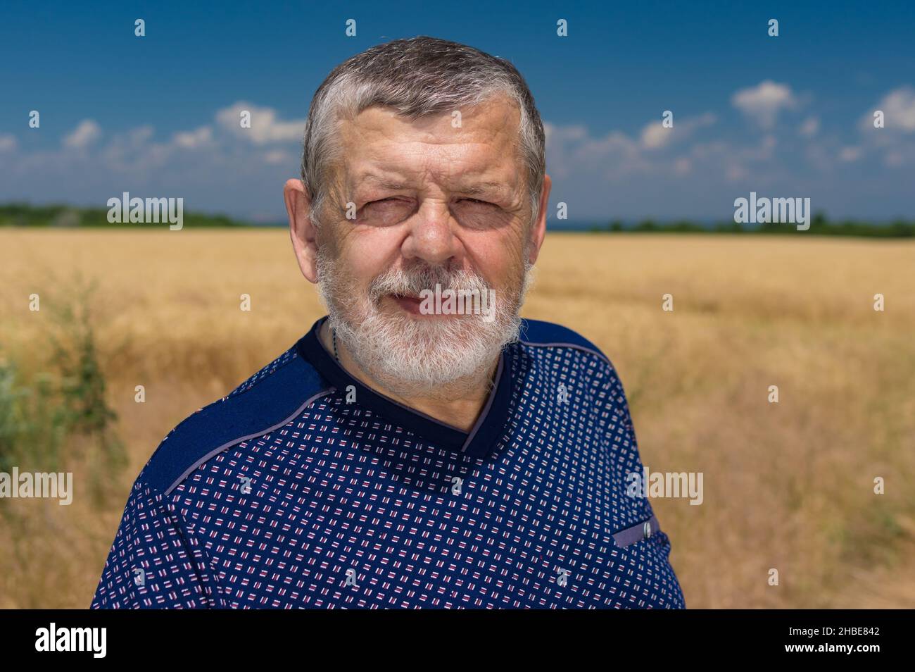 Ritratto all'aperto di ucraino barbuto contadino caucasico maggiore contro il campo di raccolto e cielo blu Foto Stock