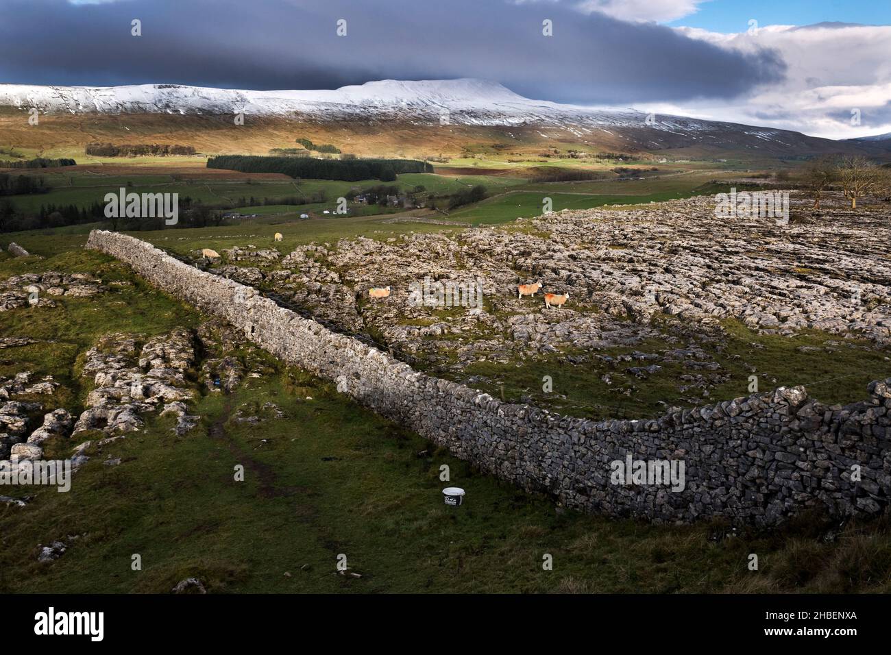 Vista verso la cima di Whernside ricoperta di neve sul marciapiede calcareo a Southerscale, Chapel-le-Dale, Yorkshire Dales National Park. Foto Stock