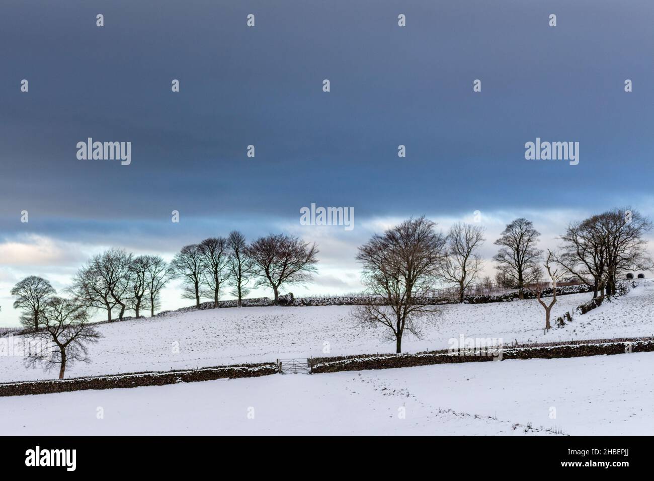 Campagna invernale nella neve al Tegg's Nose Country Park, Macclesfield, Cheshire, Regno Unito. Foto Stock