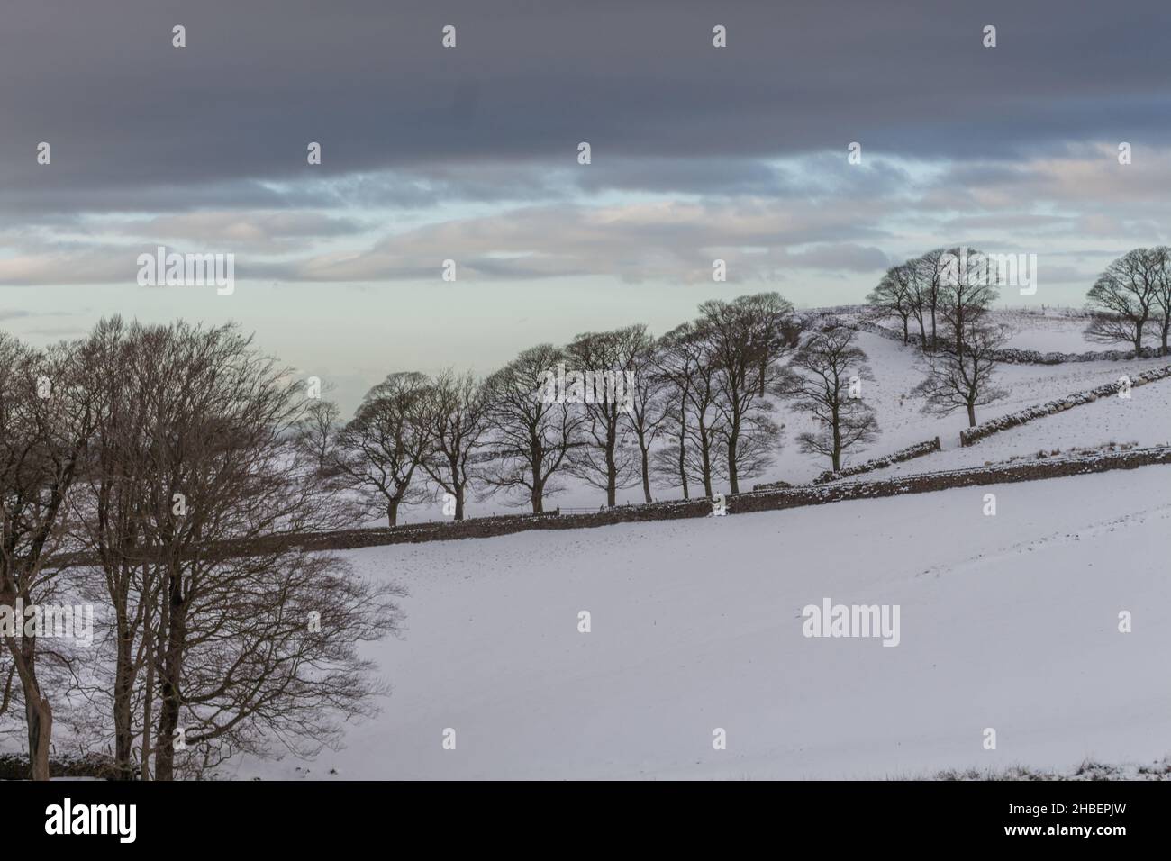 Campagna invernale nella neve al Tegg's Nose Country Park, Macclesfield, Cheshire, Regno Unito. Foto Stock