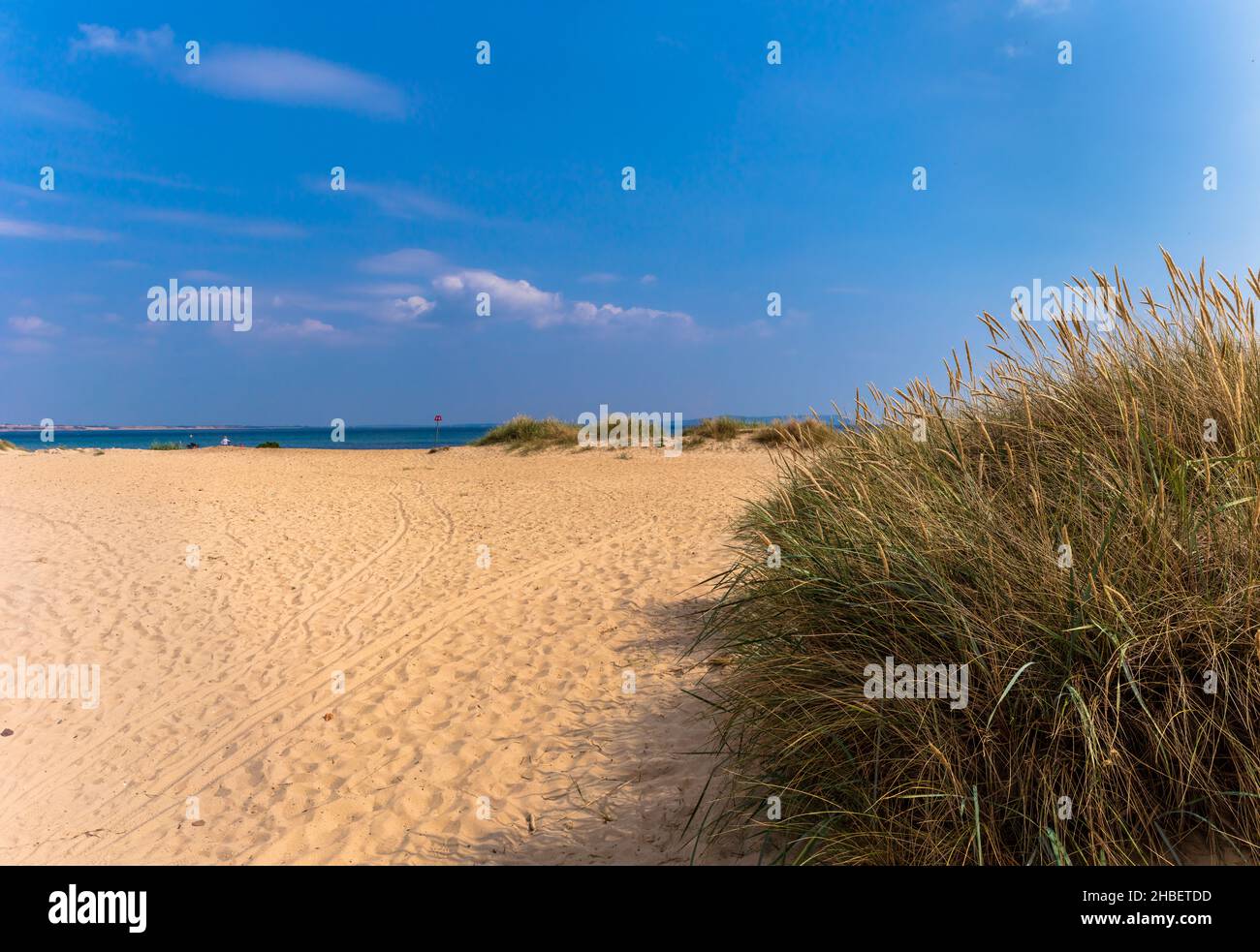Spiaggia sabbiosa e erba di mare a Mudeford Spit, Dorset, Regno Unito. Spazio copia Foto Stock