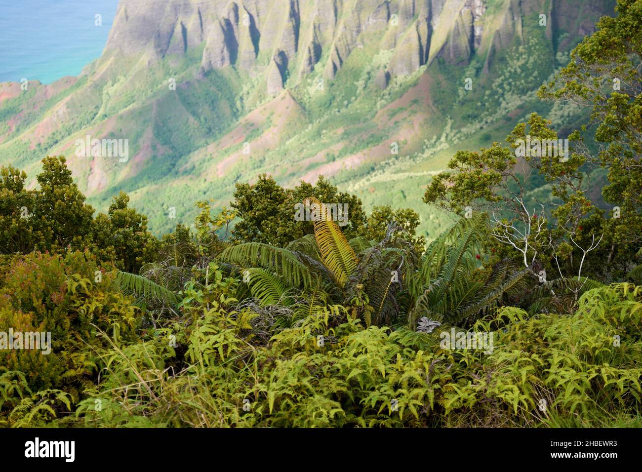 Kalalau Valley a Kauai, Hawaii Foto Stock