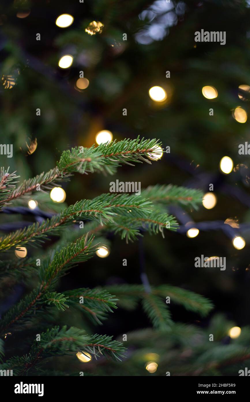 Albero di Natale con luci soffuse Foto Stock